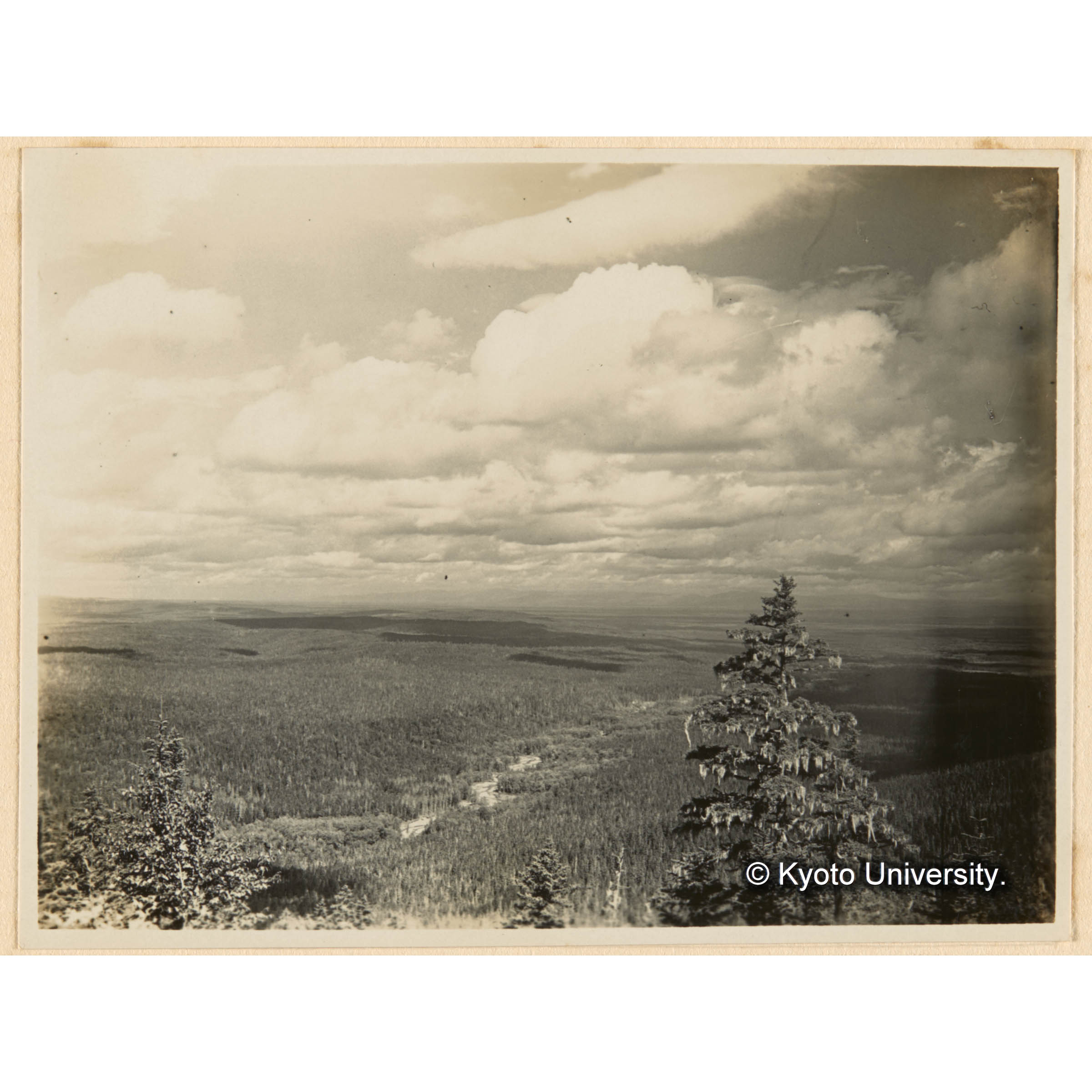 亜屯、前ノ沢流域峰通（海抜髙501m）ヨリ　田栗沢（伐跡）一ノ沢流域（天然林）ヲ望ム　中央ハ亜屯川　黒キ部分ハ雲ノ影 (1)