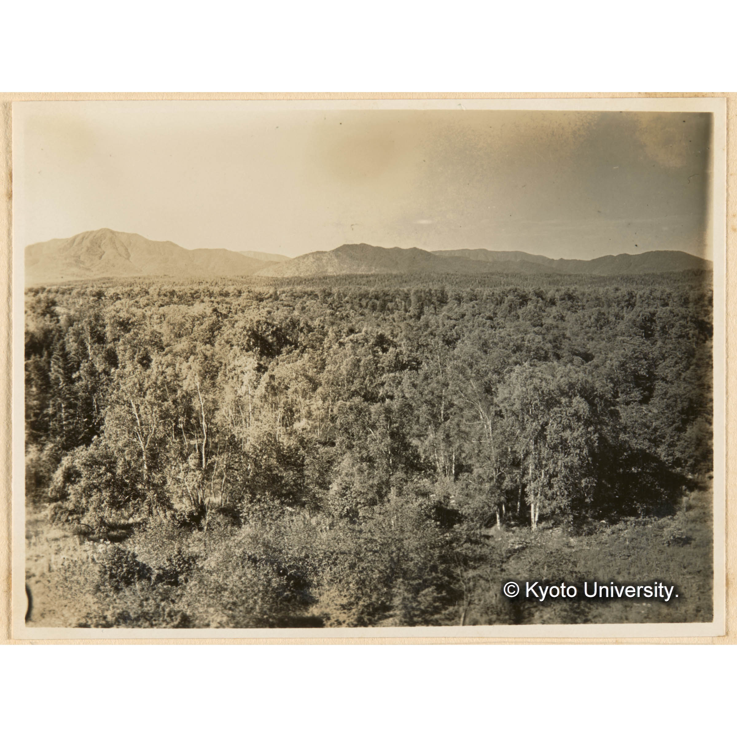 亜屯望樓上（地上32m）ヨリ亜屯川畔闊葉樹林を距テテ亜屯山（左方）ヲ望ム、亜屯山ノ右方ノ山ノ腹面白ク見エルハ國有林（気屯）ノ皆伐跡地 (1)