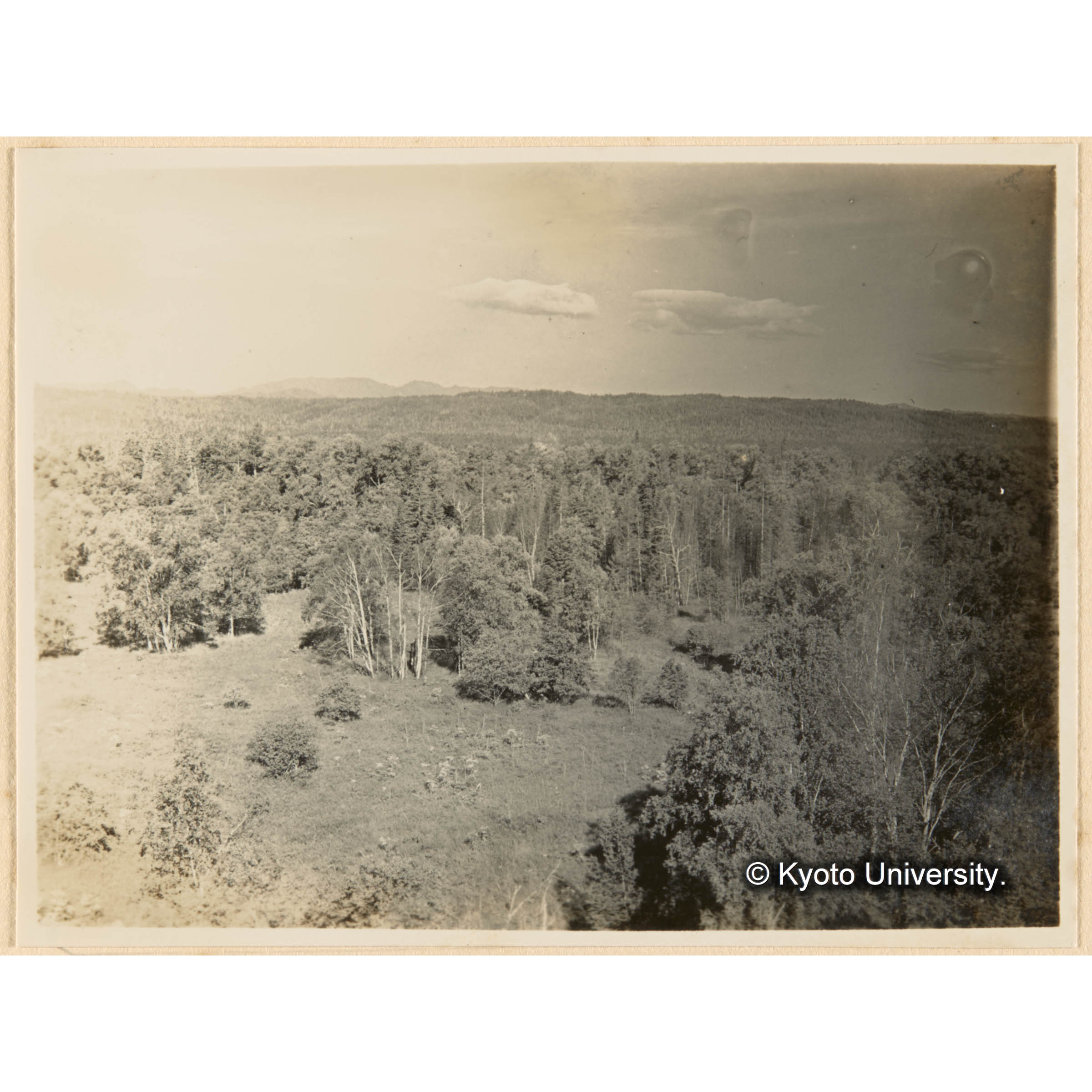 亜屯望樓上（地上32m）ヨリ亜屯川畔、闊葉樹林日暮沢流域及北方ぐいまつ林ヲ望ム (1)