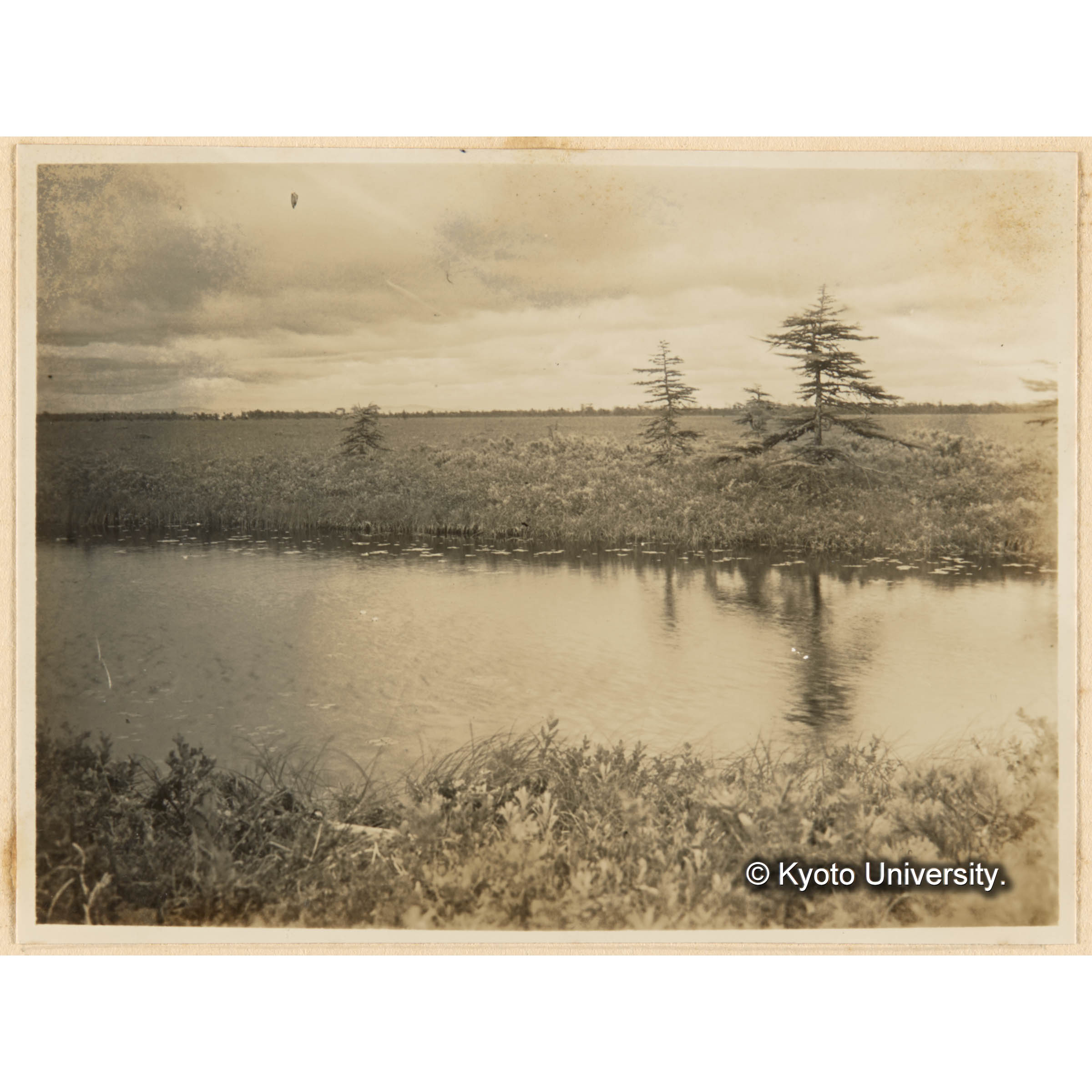 つんどらノ景觀　前面古川上ノ二白奌ハひつじぐさ （敷香綱場附近） (1)