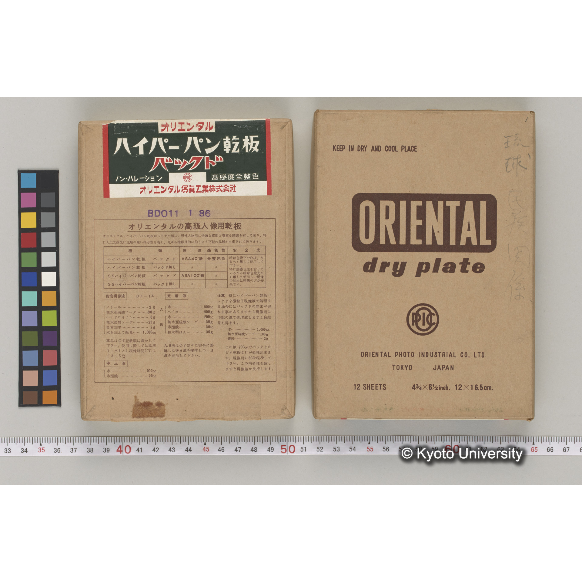 発掘（崎樋川貝塚） (1)