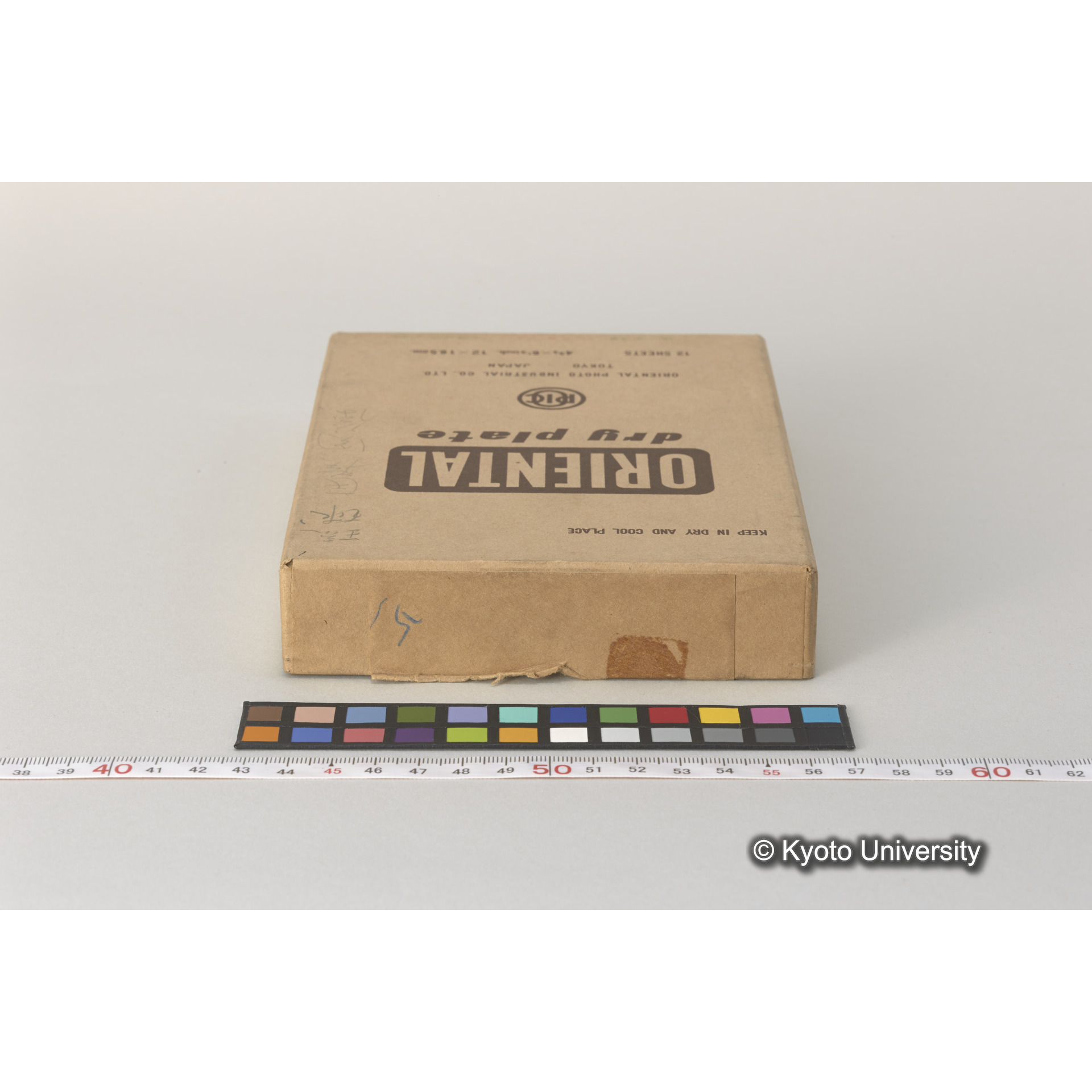 発掘（崎樋川貝塚） (2)