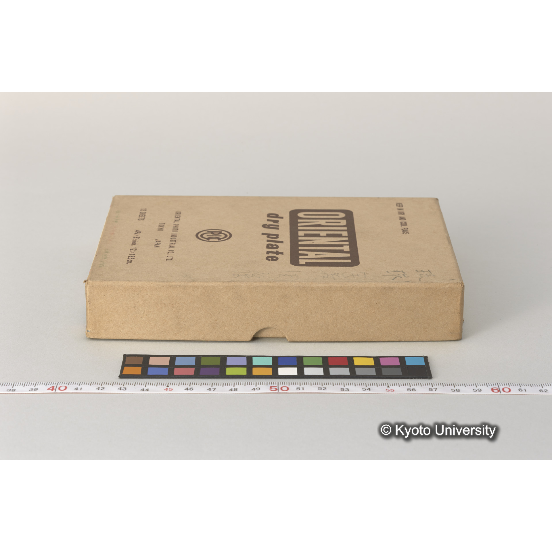 発掘（崎樋川貝塚） (3)