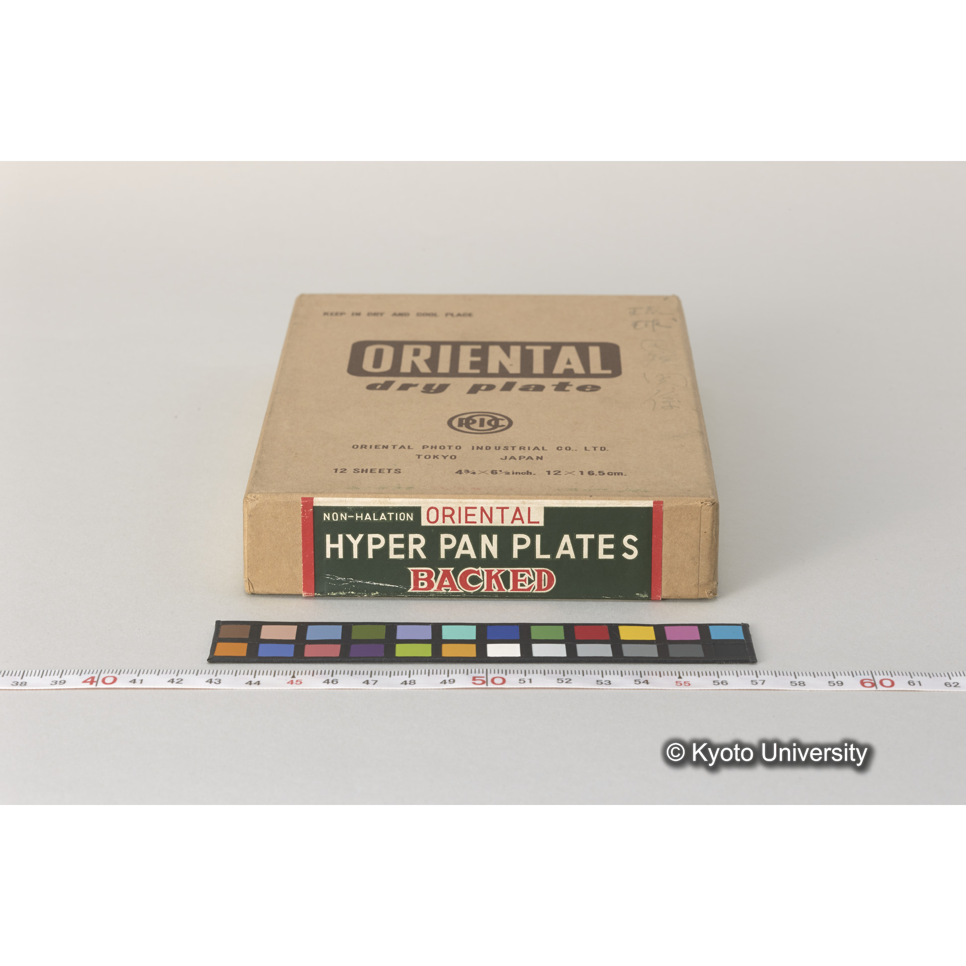 発掘（崎樋川貝塚） (4)