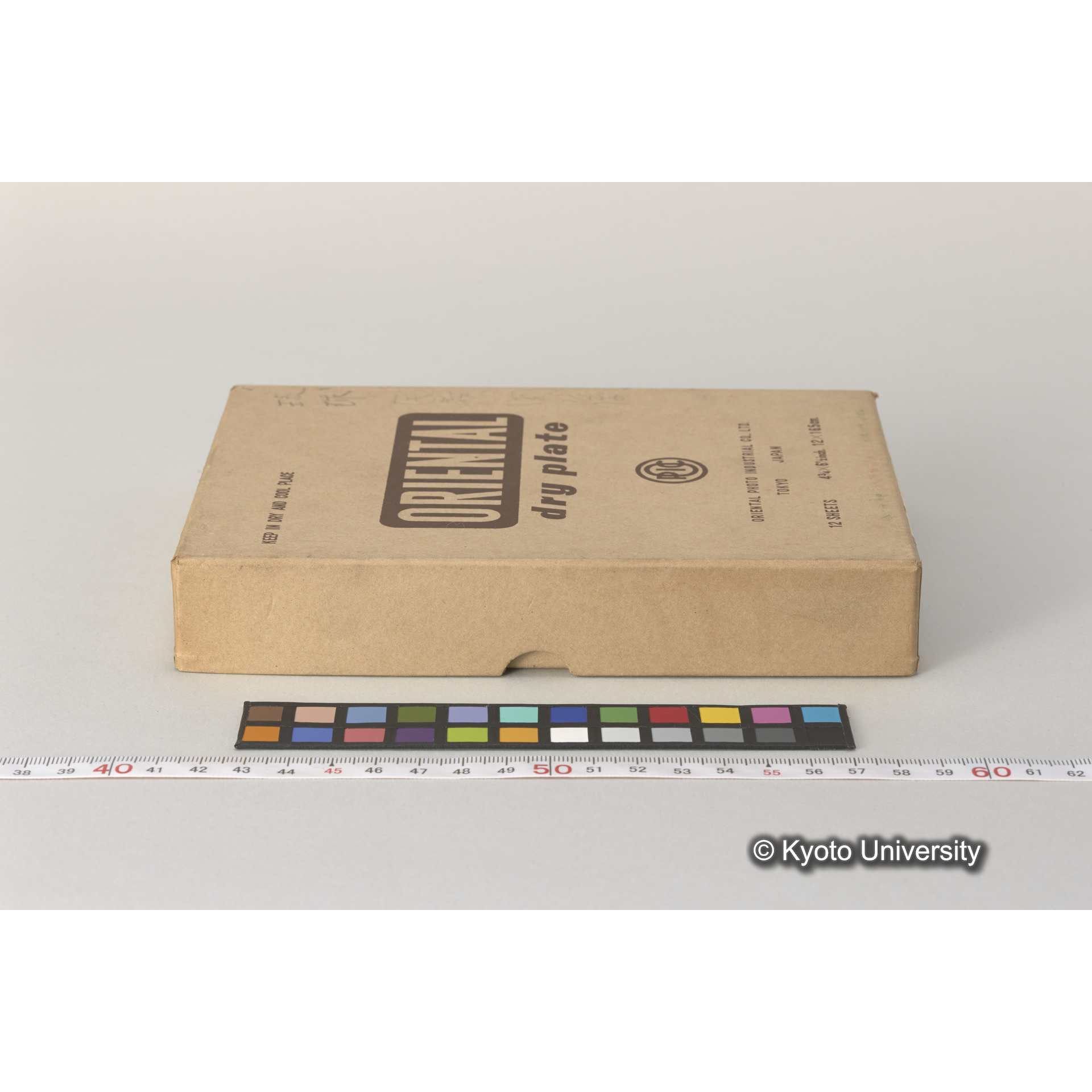 発掘（崎樋川貝塚） (5)