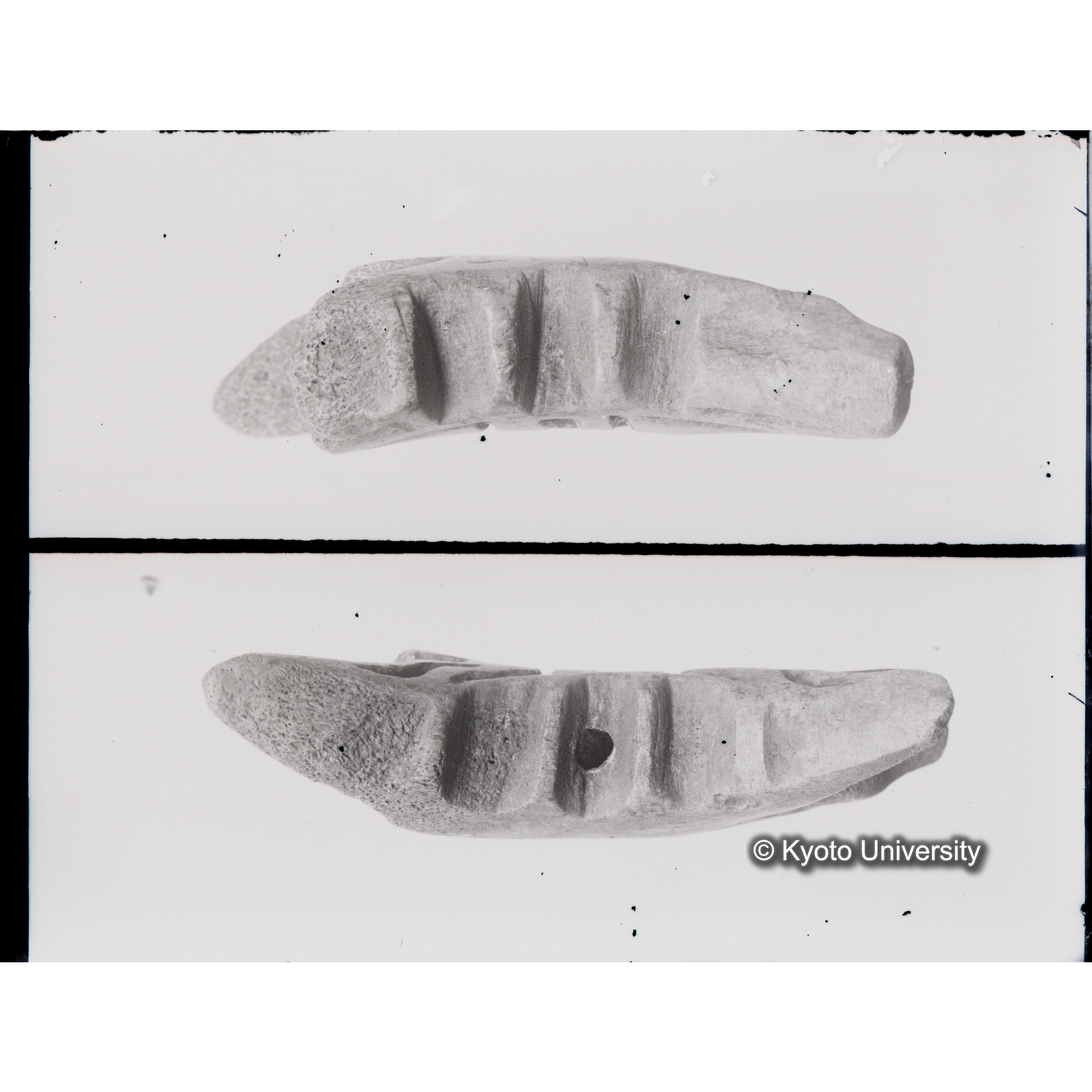 遺物（蝶形骨製品） (1)