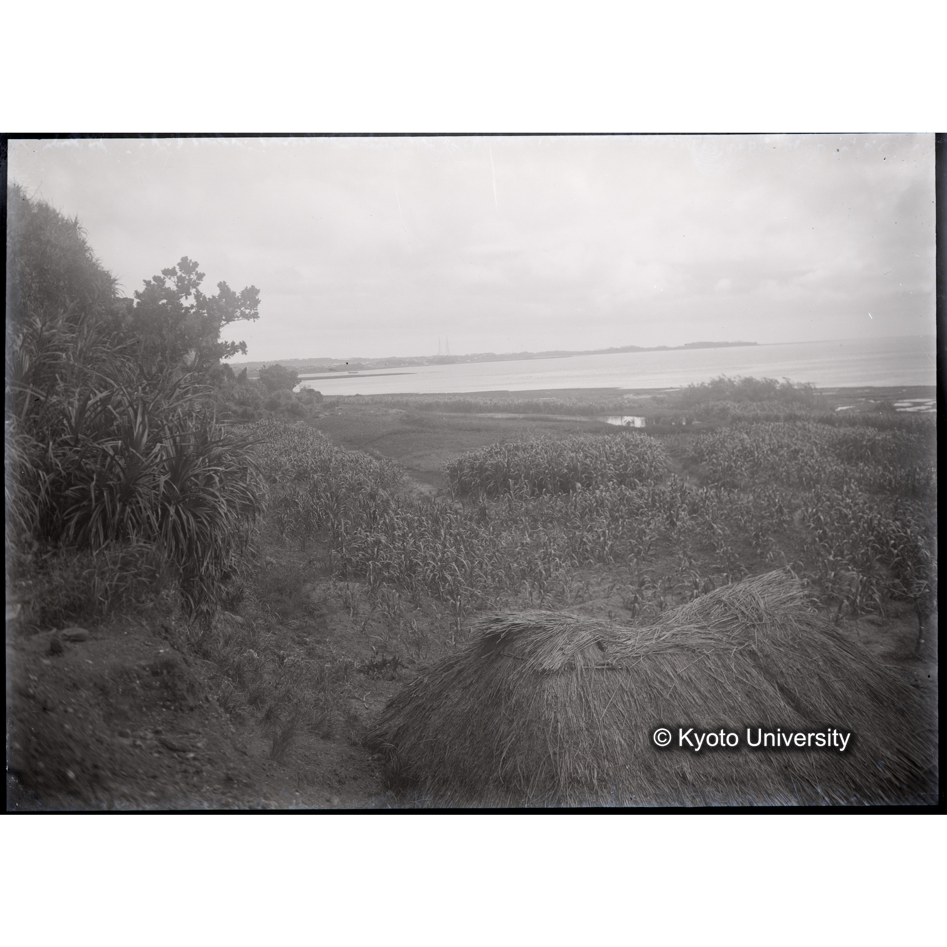 発掘現場からの風景1 (1)