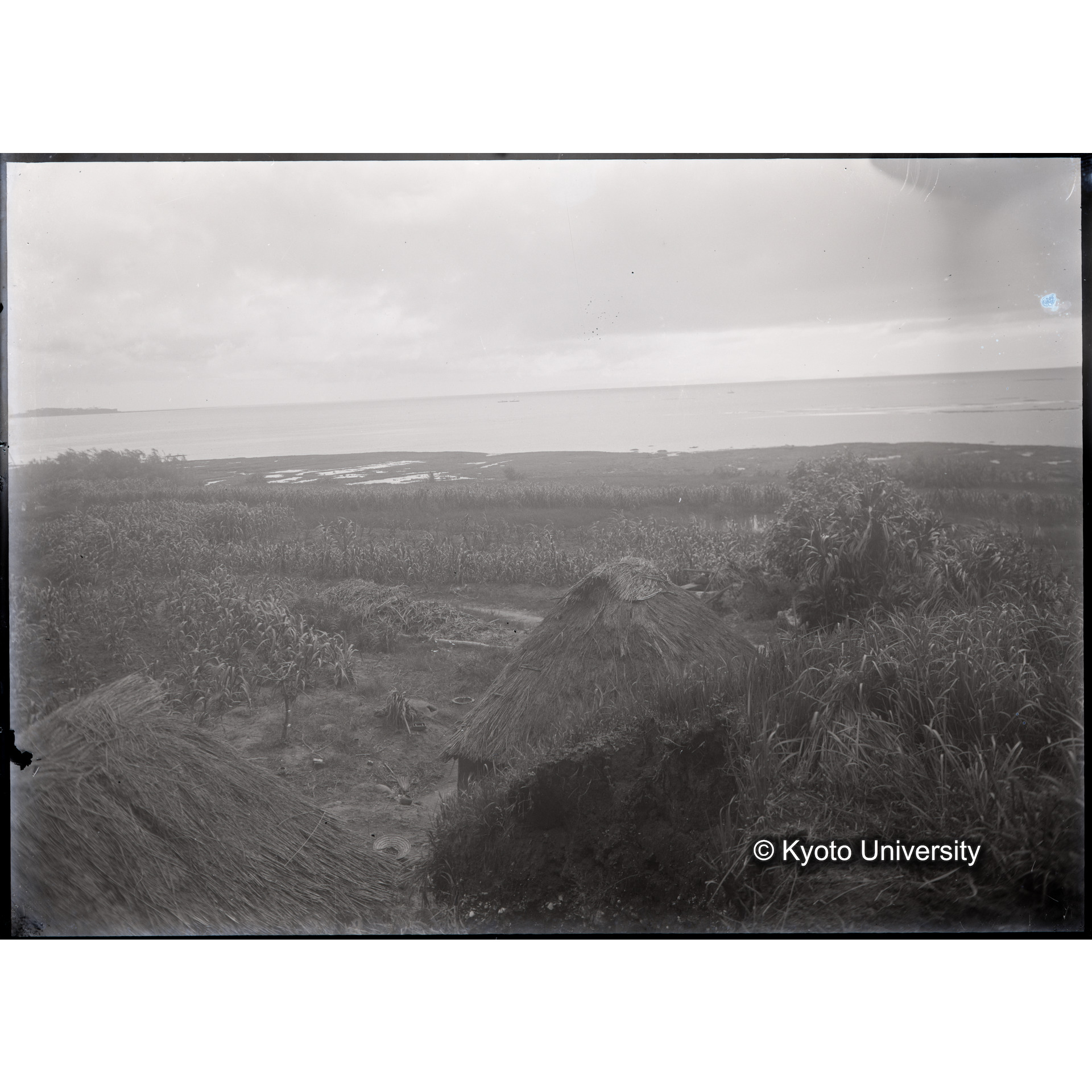 発掘現場からの風景2 (1)