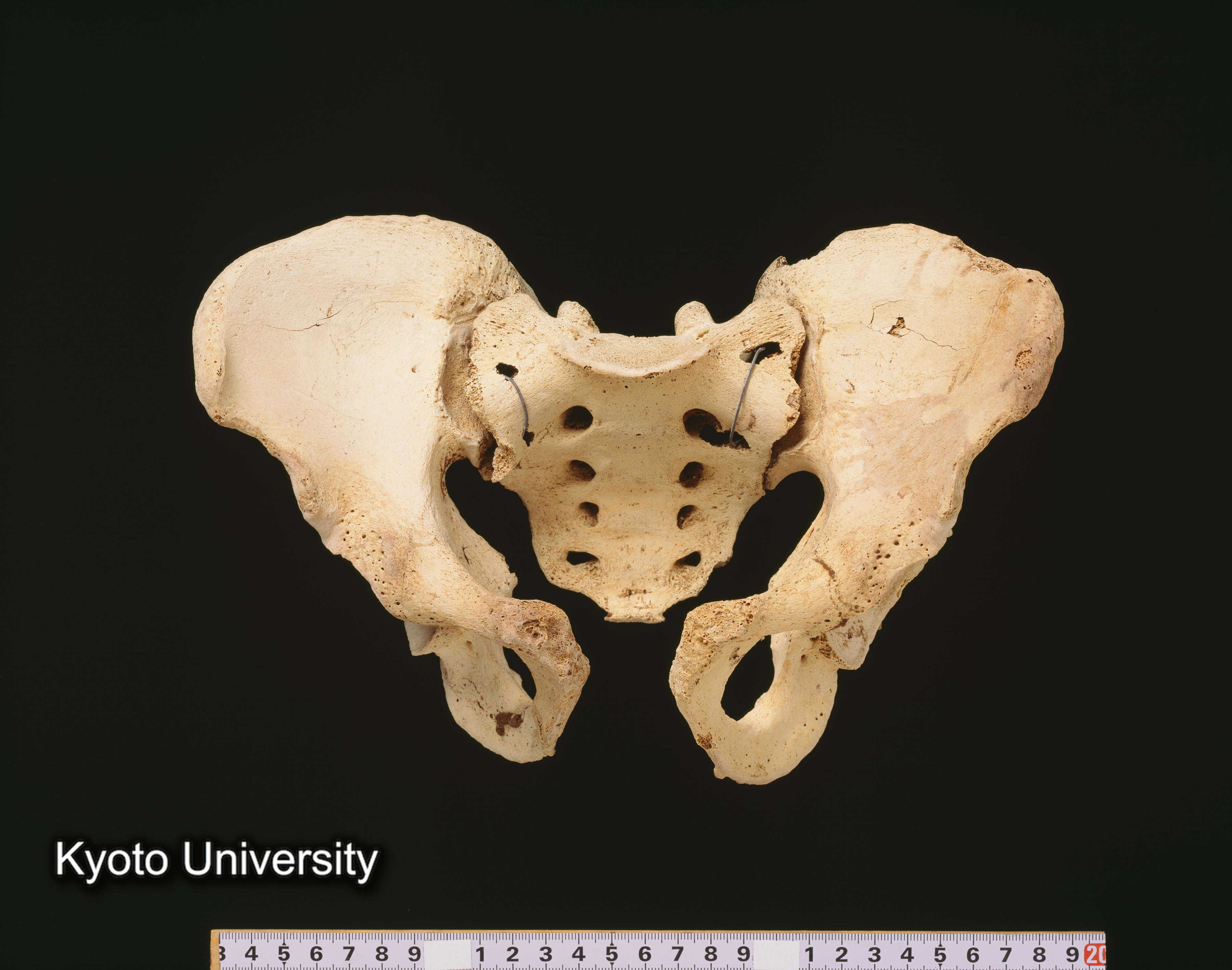 02-052_Abydos001_p079 (1)