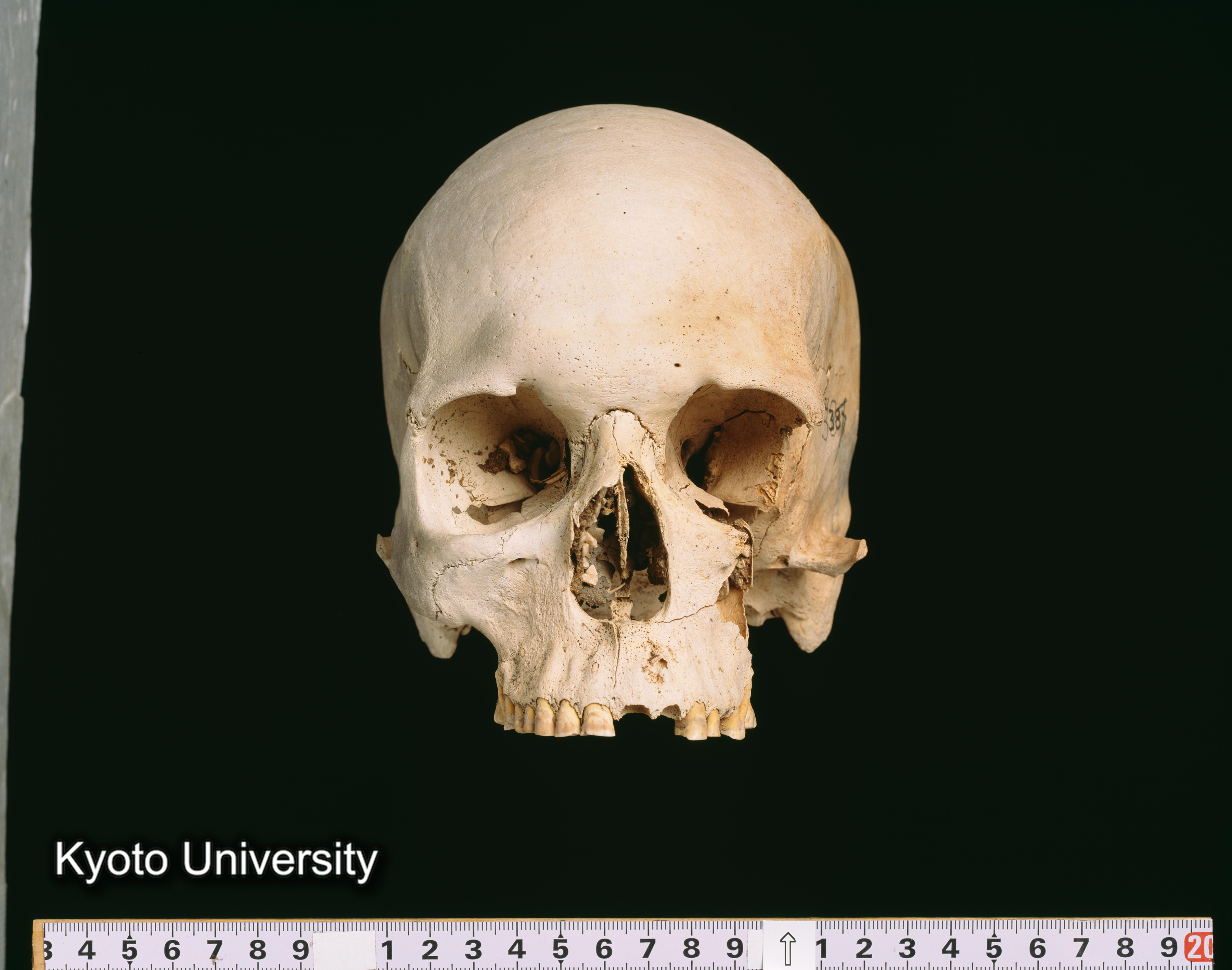 02-053_Abydos001_p079 (1)