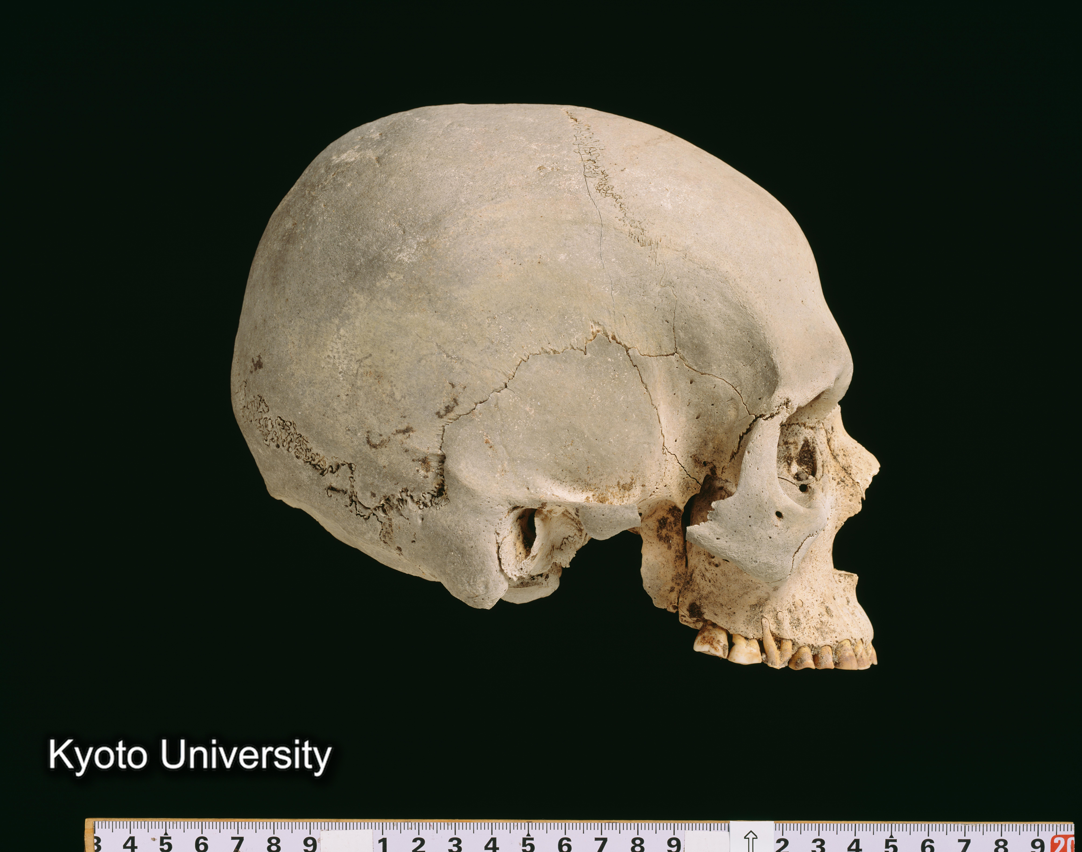 02-054_Abydos001_p079 (1)