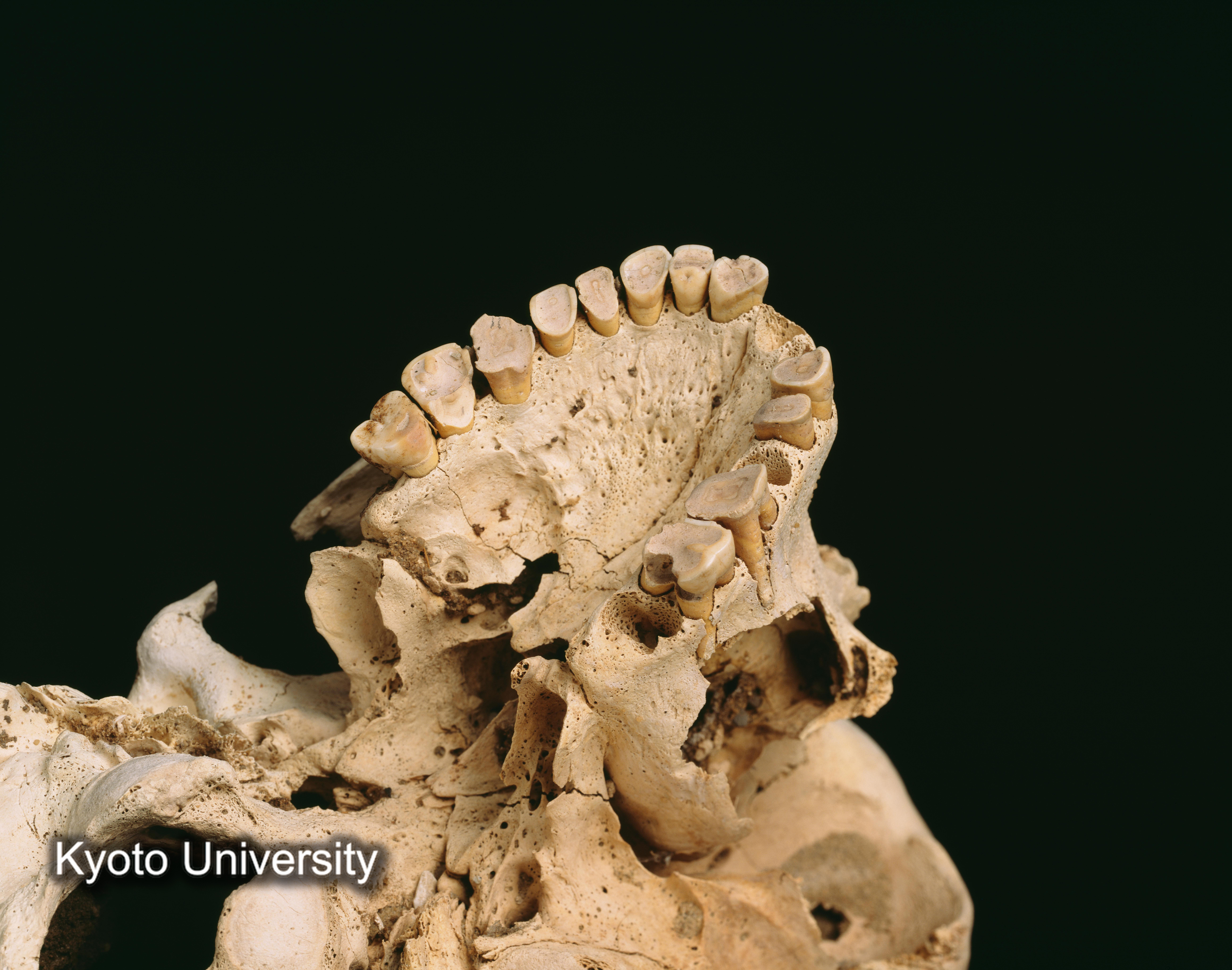 02-055_Abydos001_p079 (1)