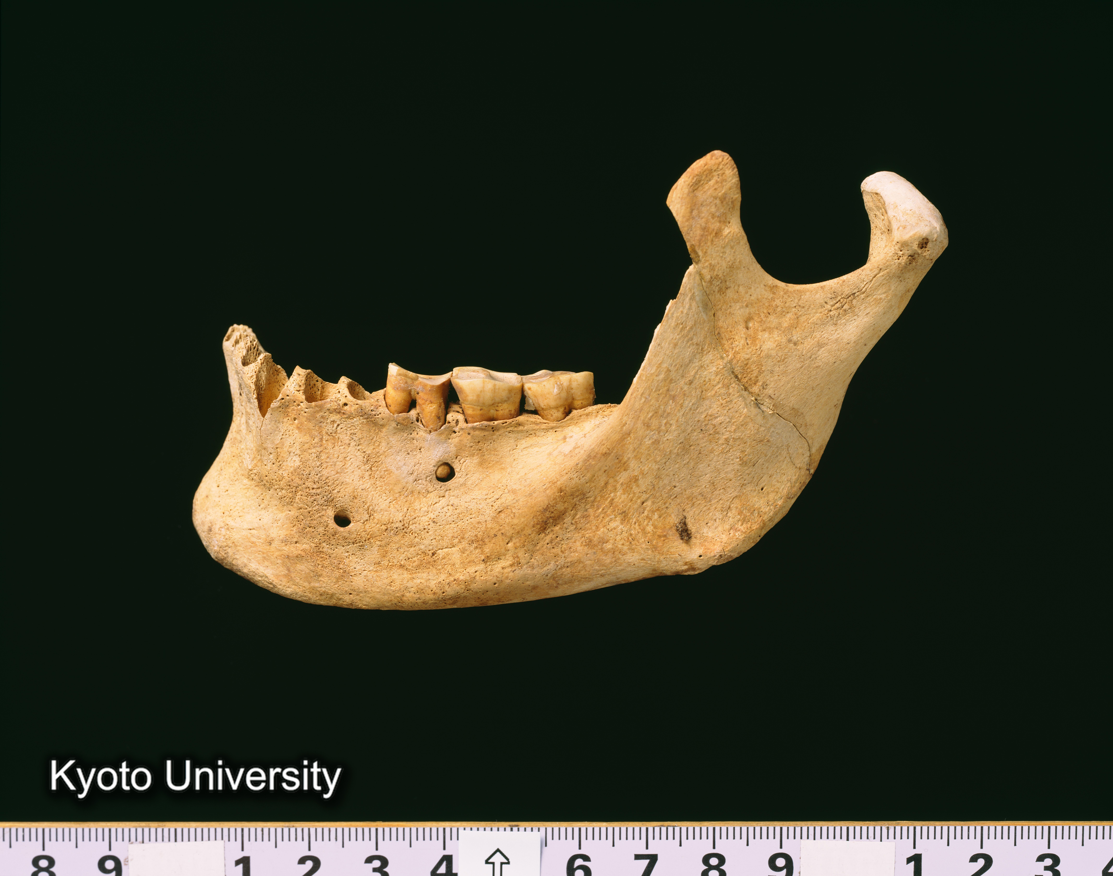 02-056_Abydos001_p079 (1)