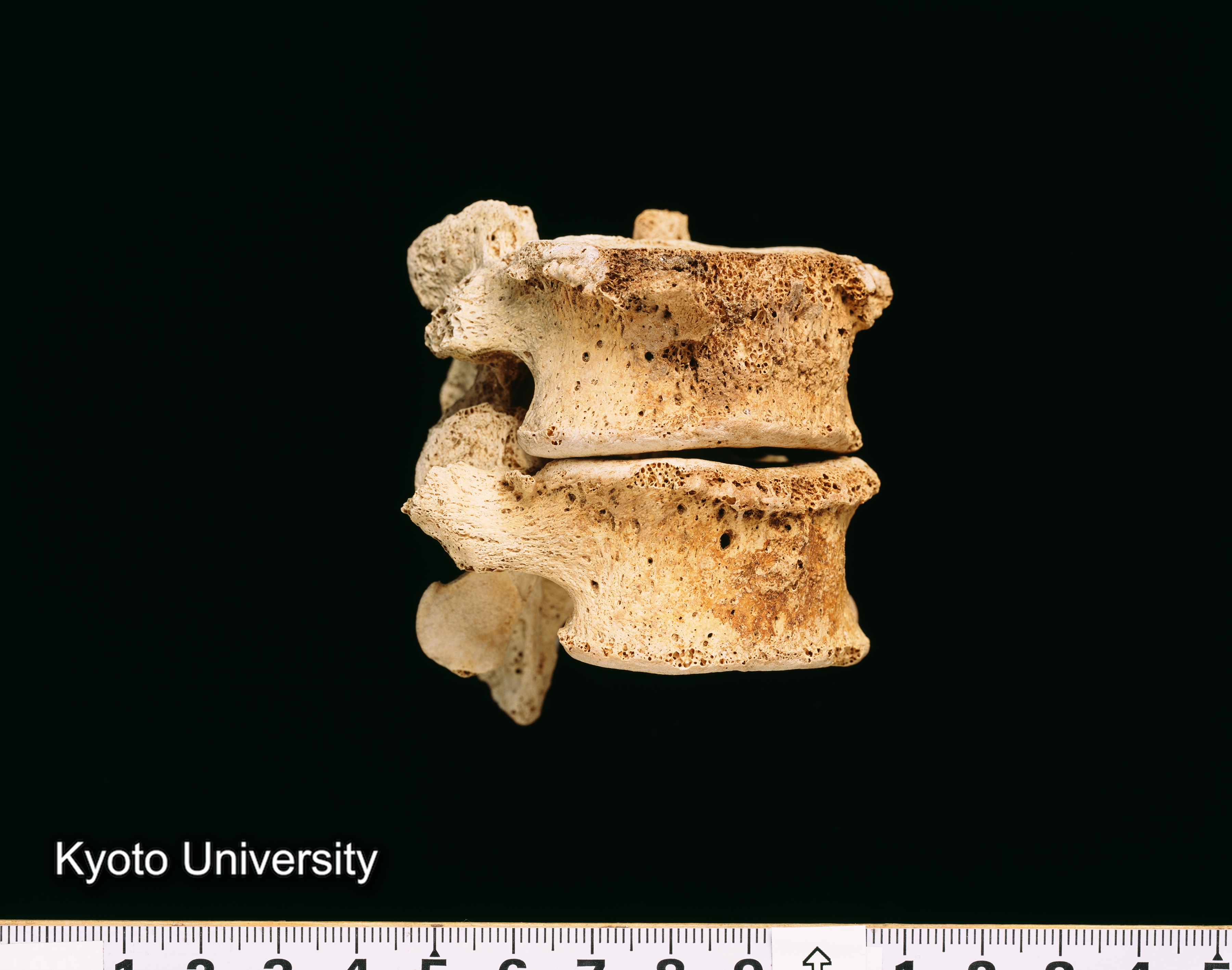 02-057_Abydos001_p079 (1)