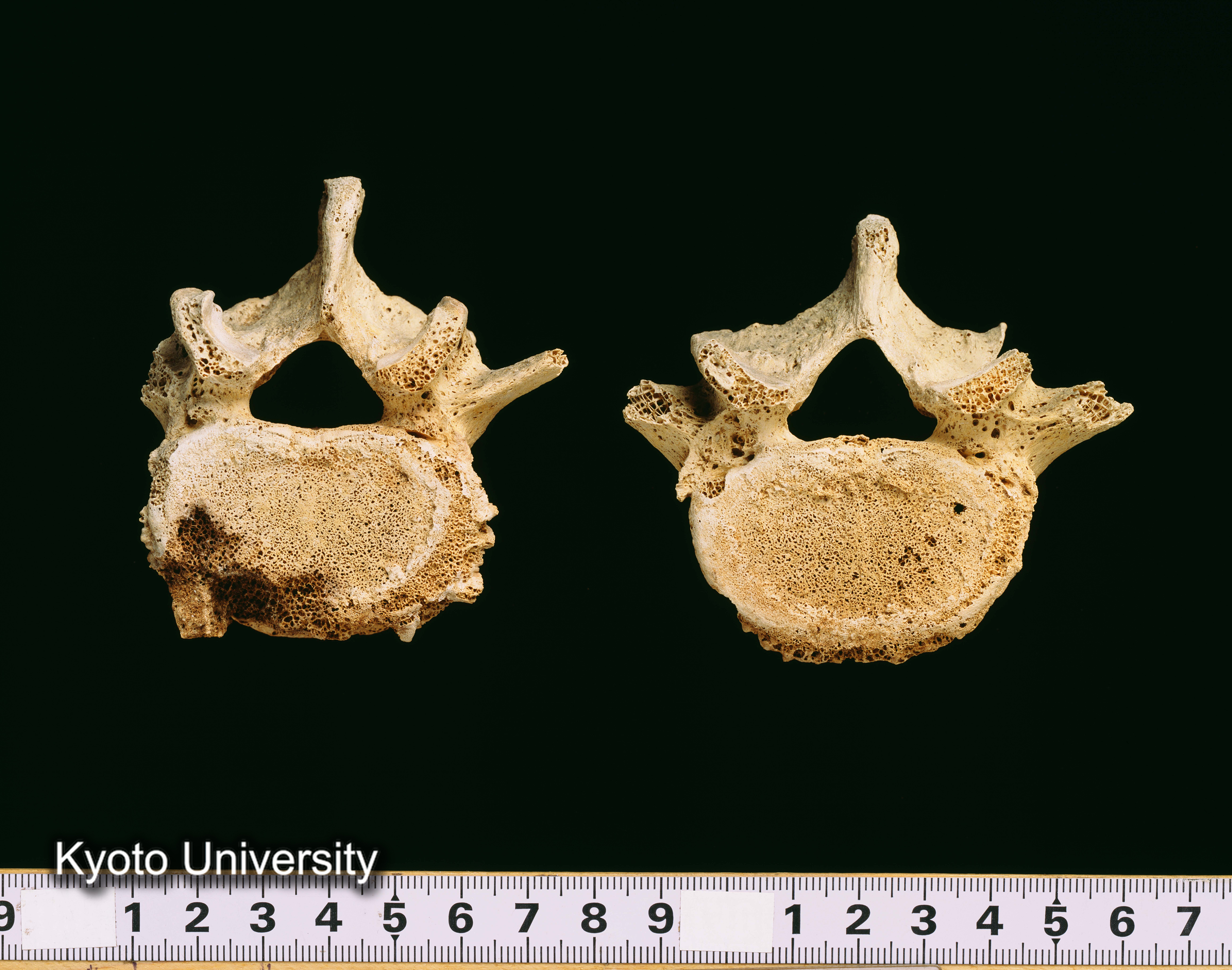 02-058_Abydos001_p079 (1)