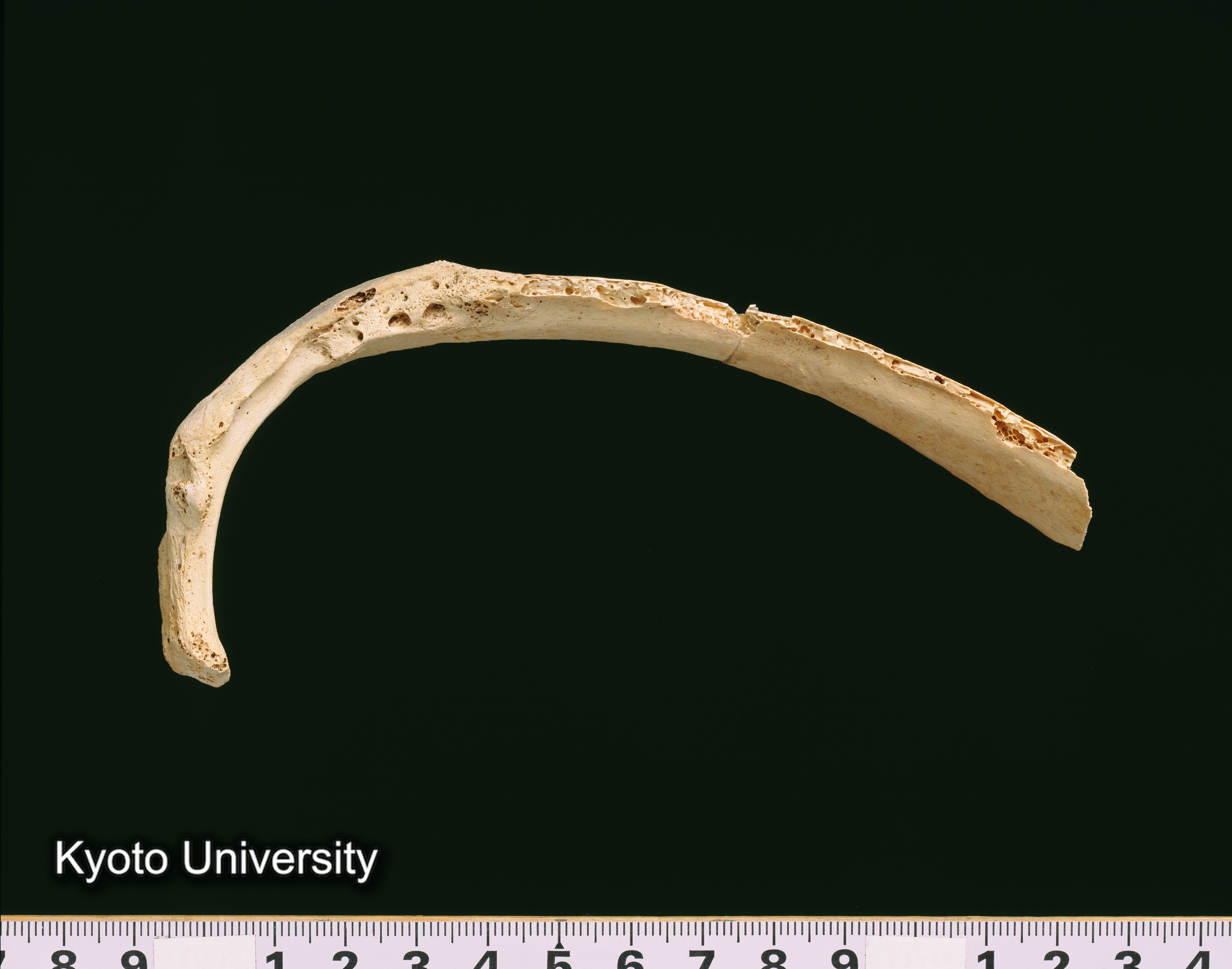 02-059_Abydos001_p079 (1)