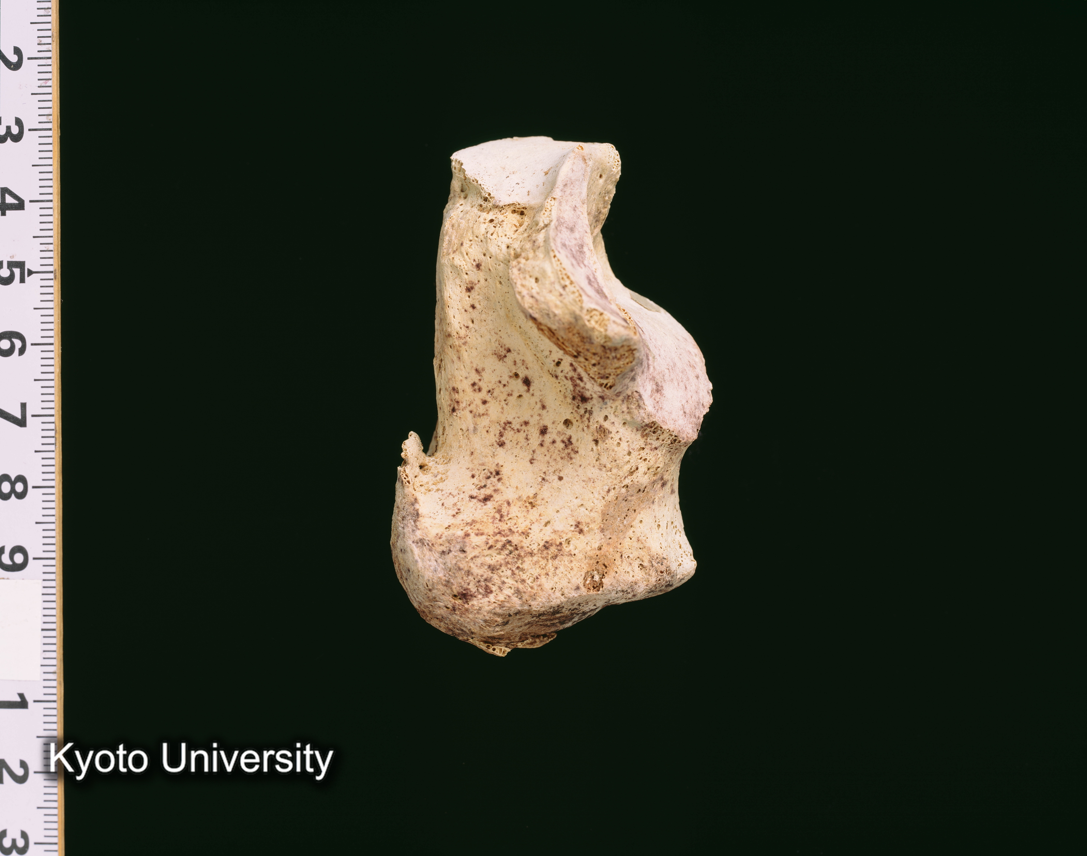 02-061_Abydos001_p079 (1)