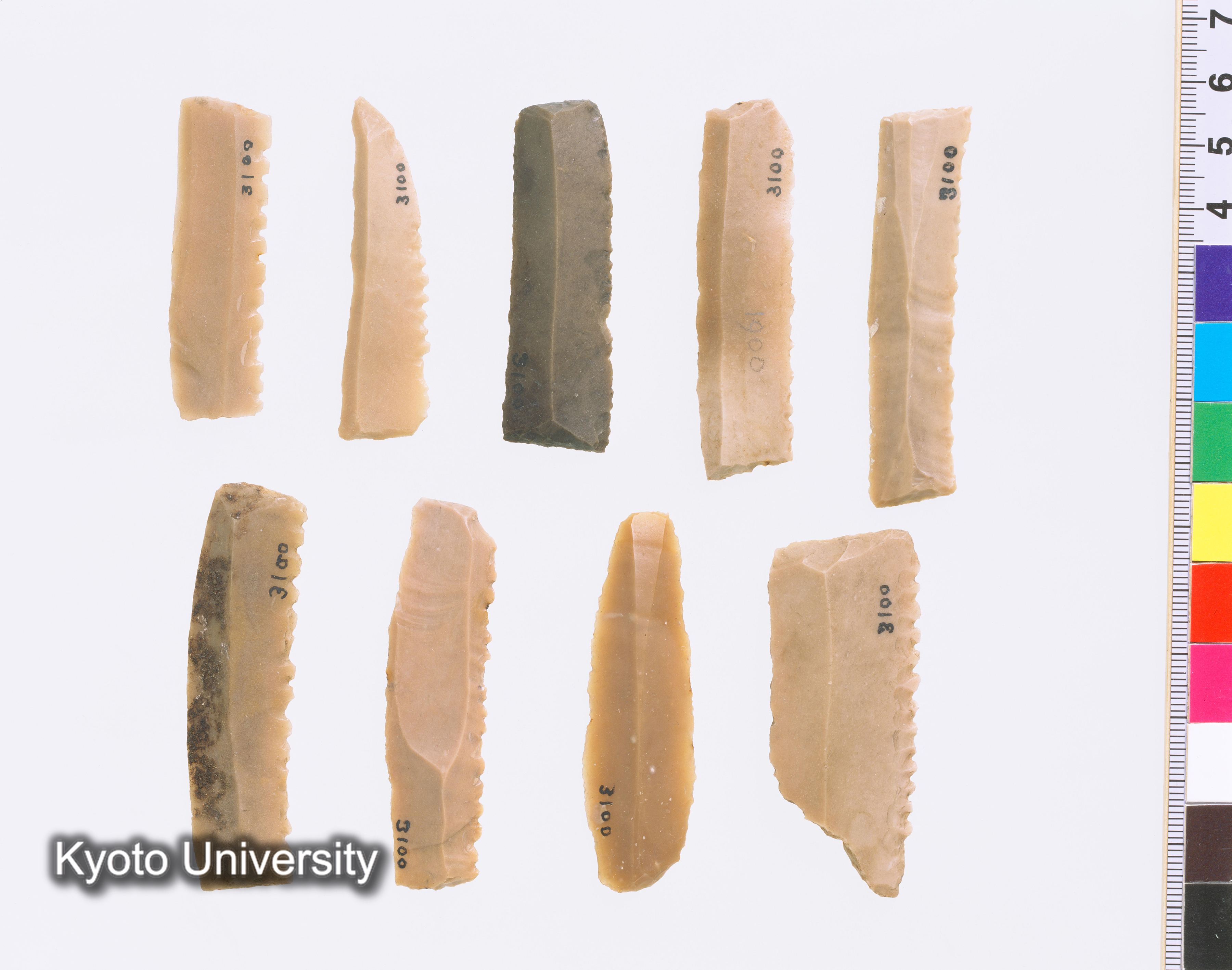 02-071_Badari026_p024 (1)