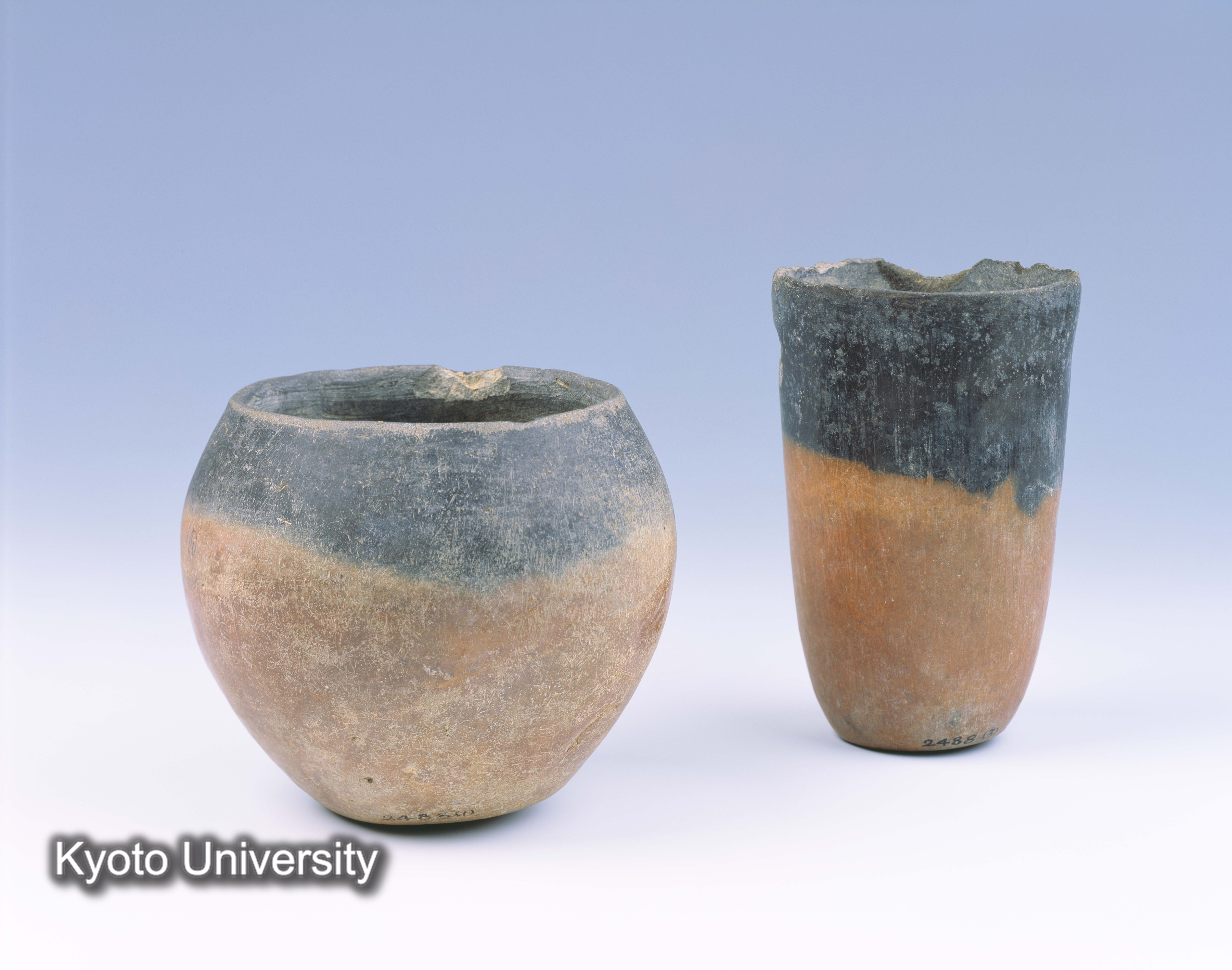 02-077_Qau el-Kebir001[ab]_p038 (1)