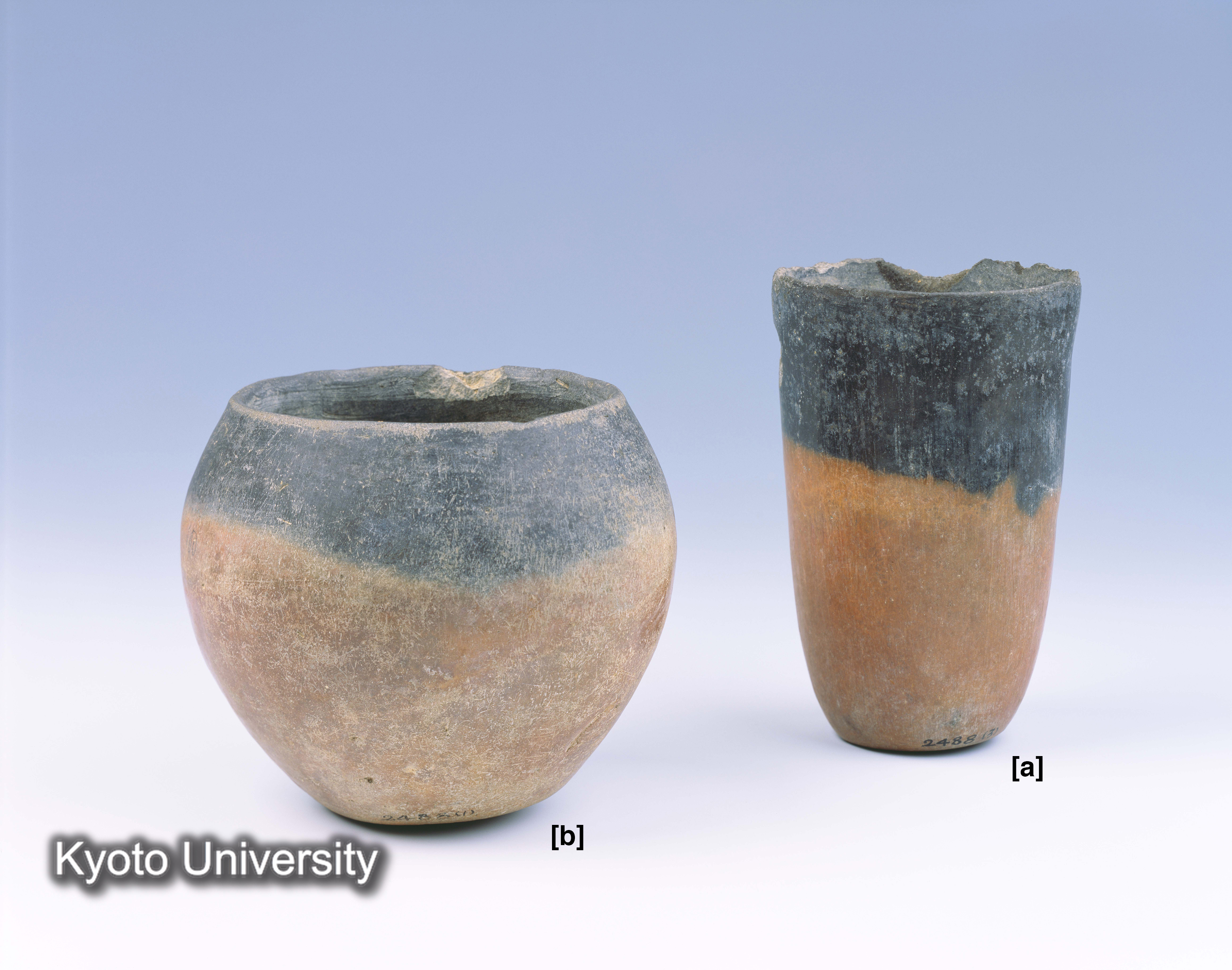 02-077_Qau el-Kebir001[ab]_p038 (2)