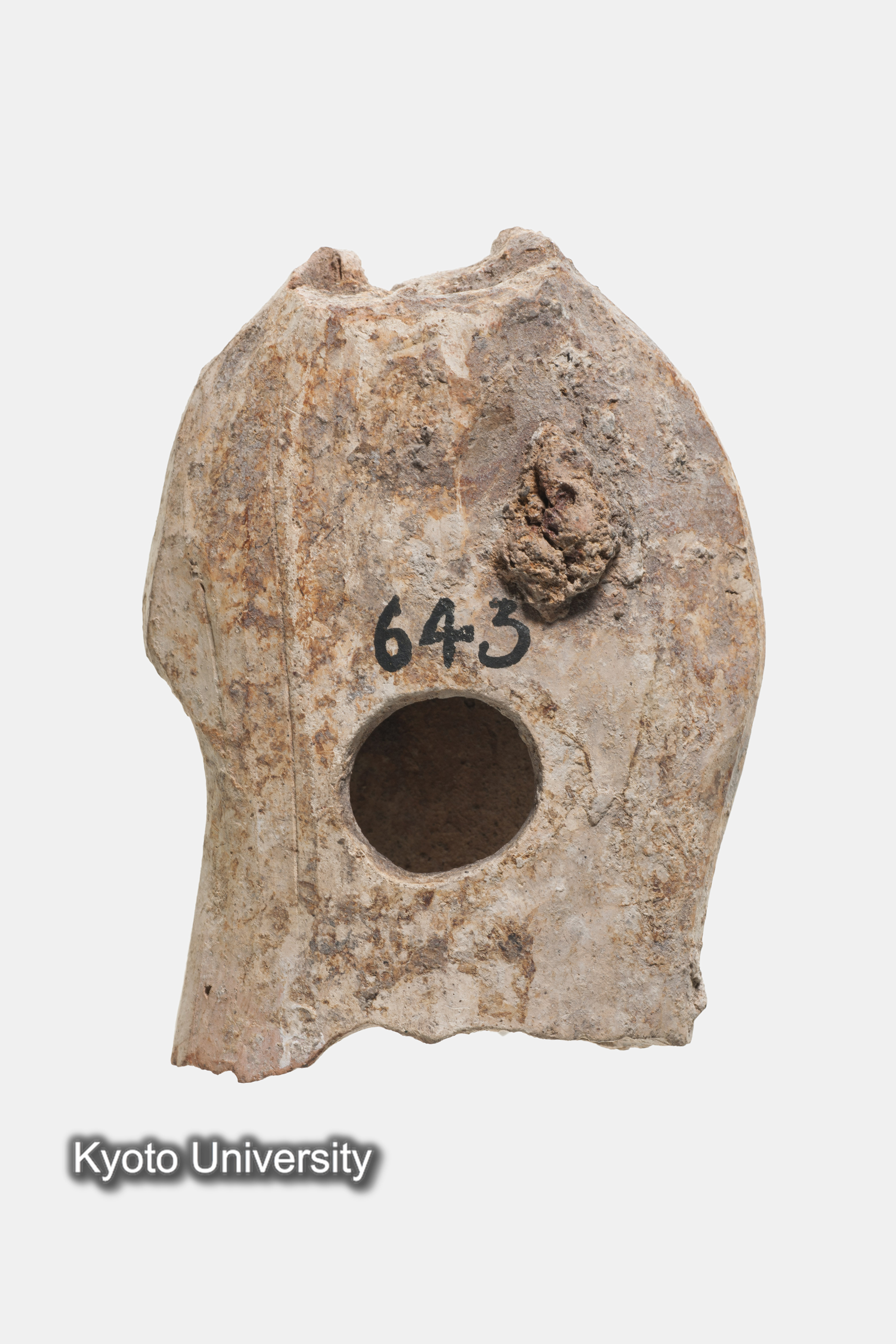 05-049_Naukratis025_p009 (1)