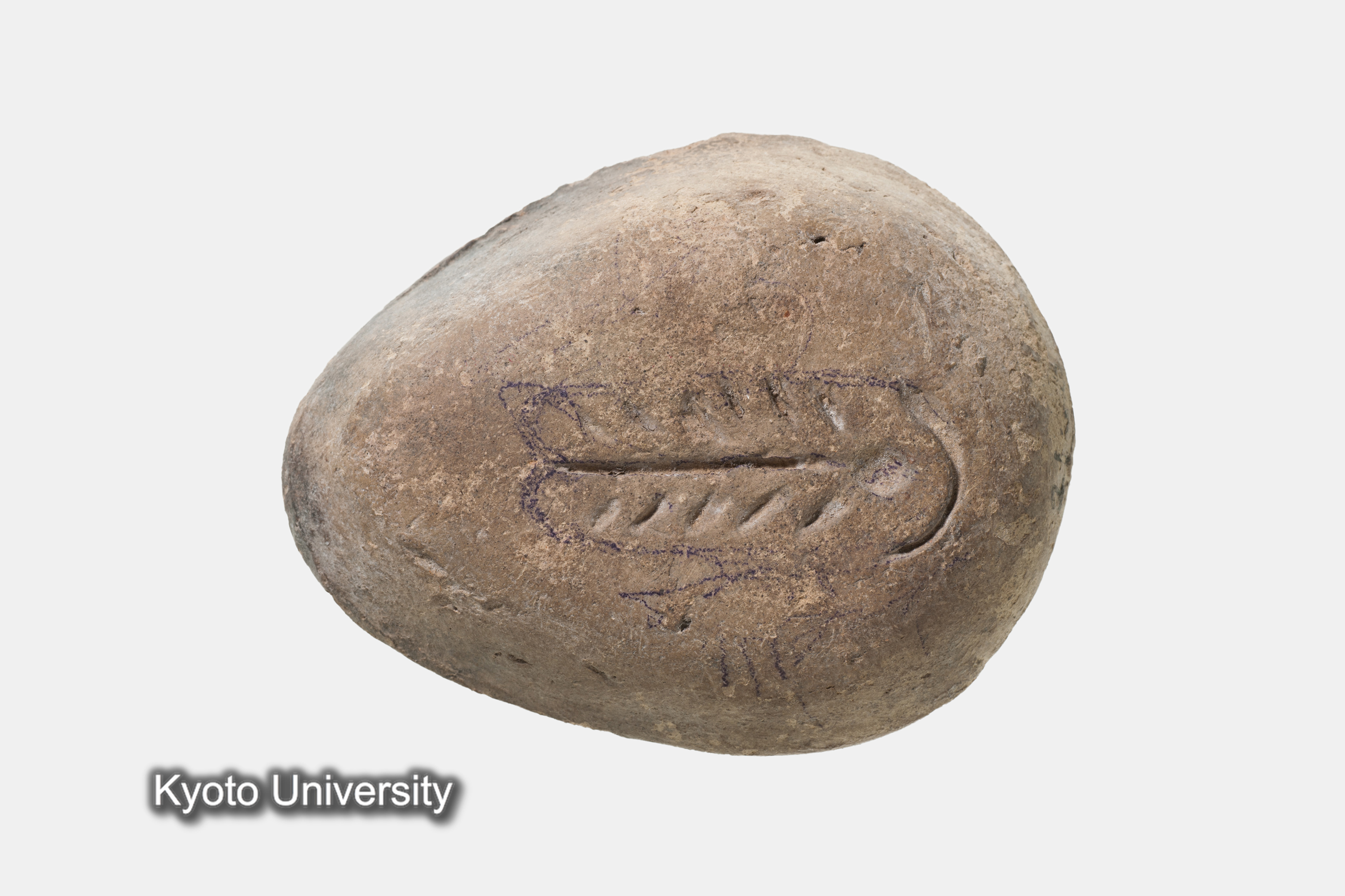 05-070_Oxyrhynchus004b_p013 (1)