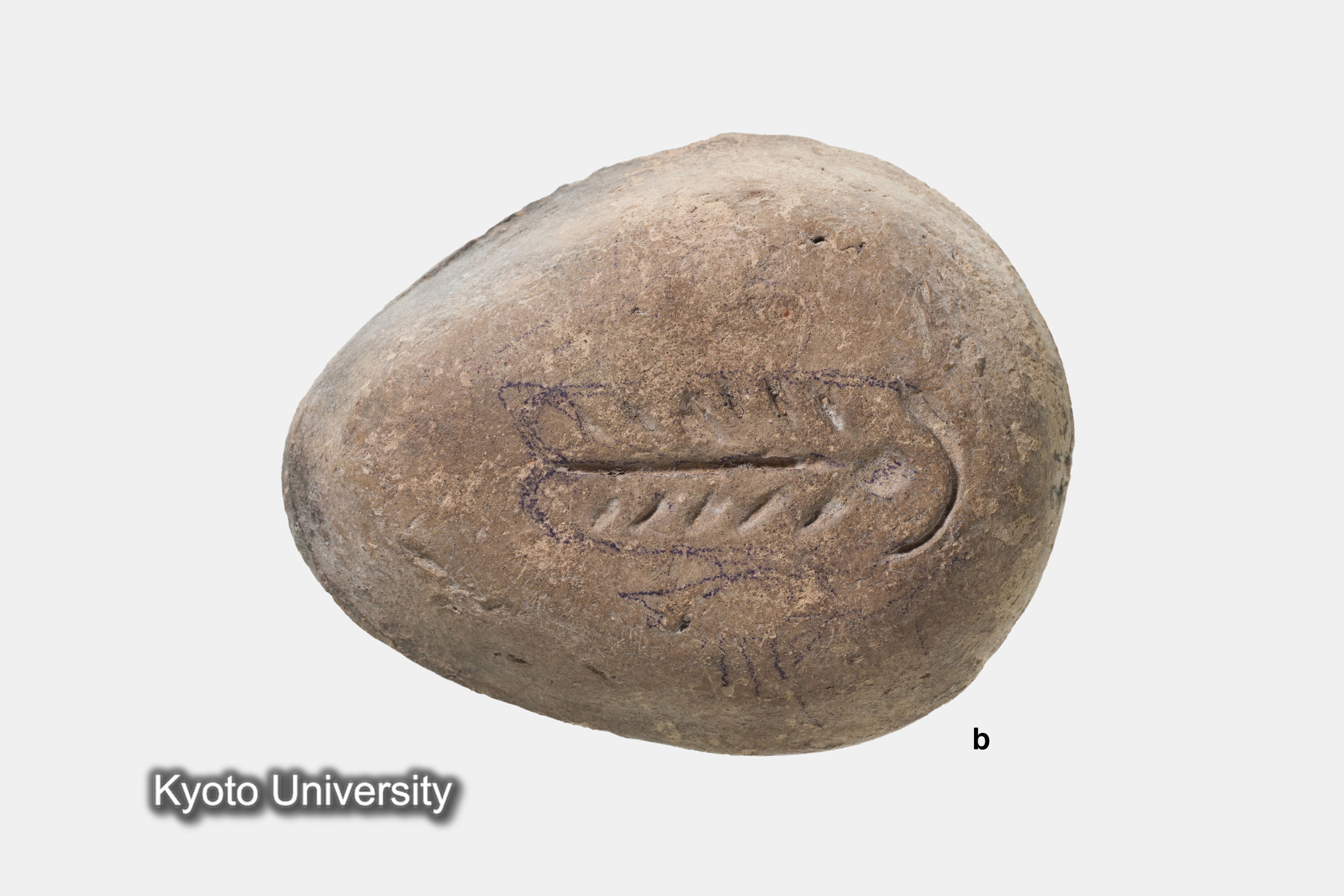 05-070_Oxyrhynchus004b_p013 (2)