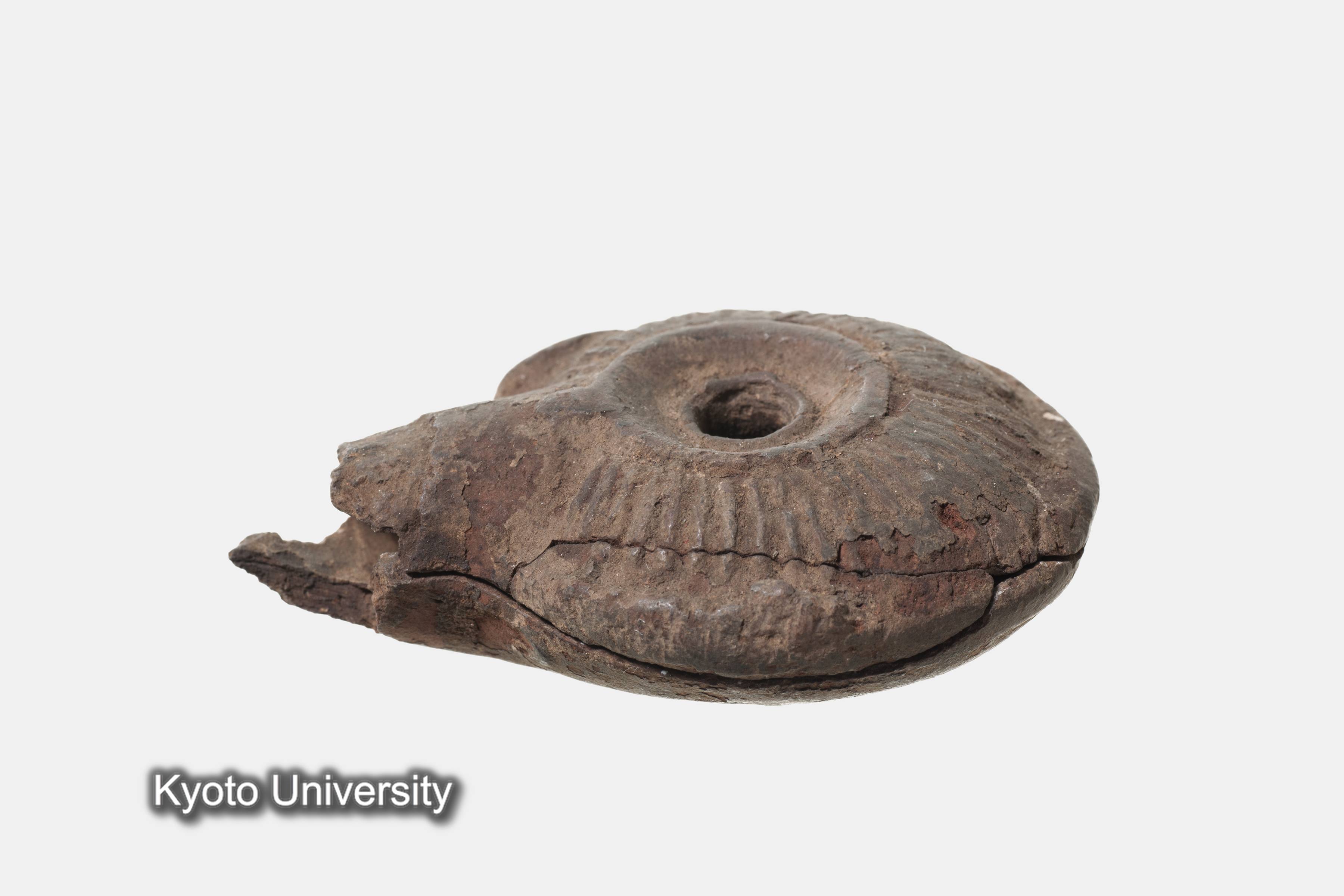 05-085_Oxyrhynchus006_p014 (1)