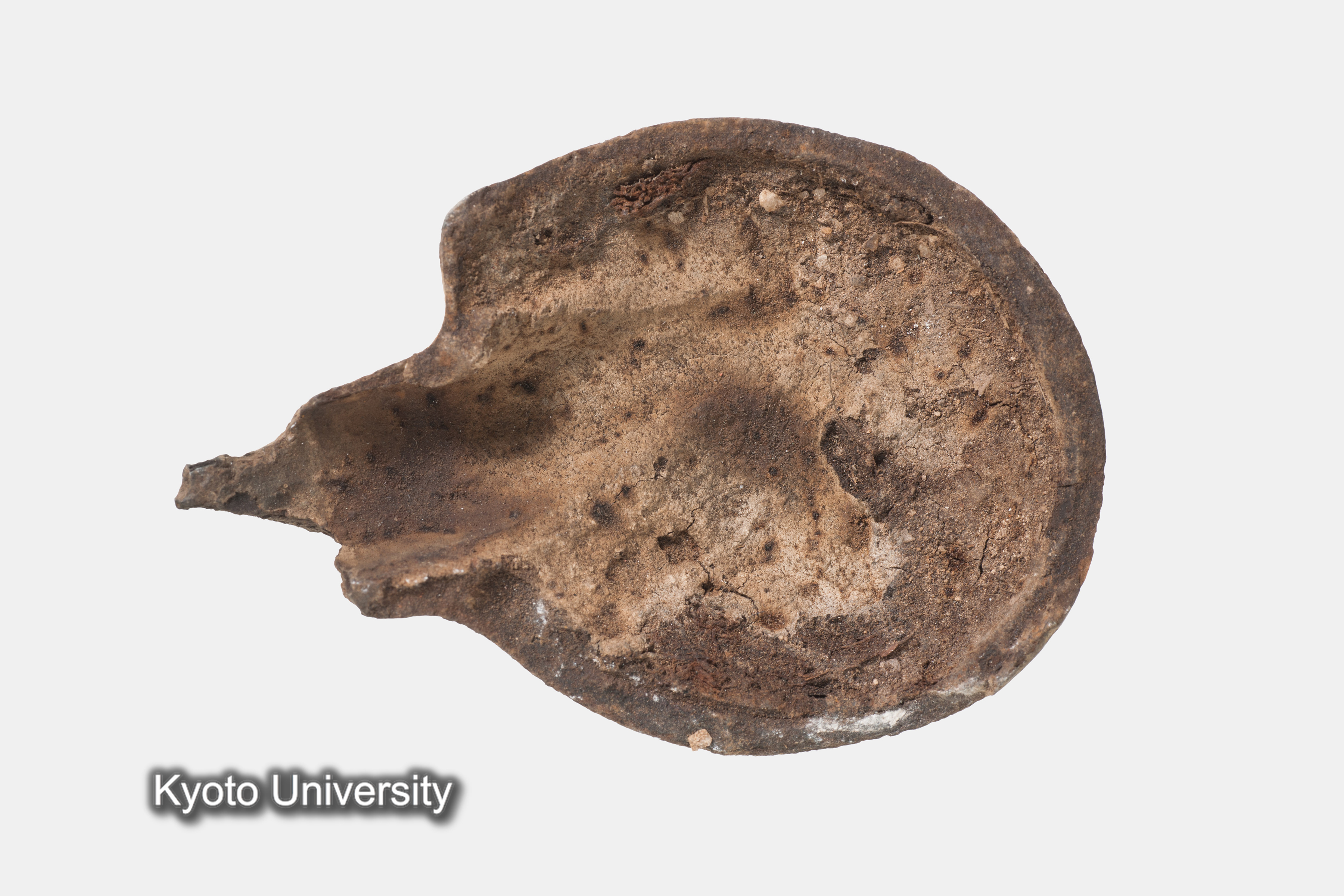 05-087_Oxyrhynchus006_p014 (1)