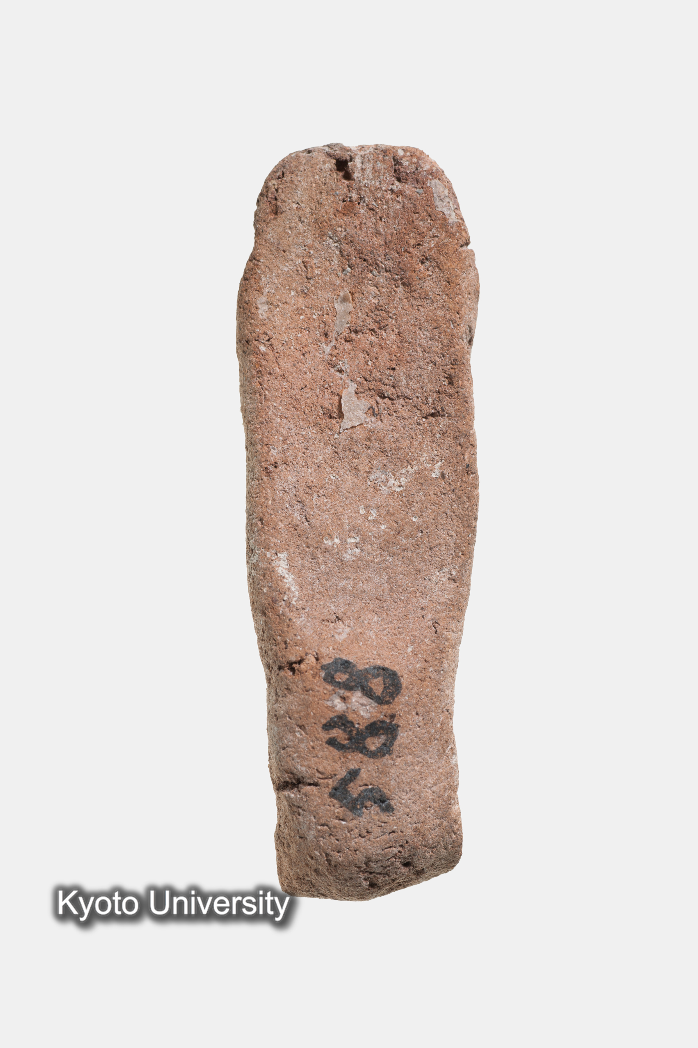 05-170_Deir el-Bahari024[e]_p091 (1)