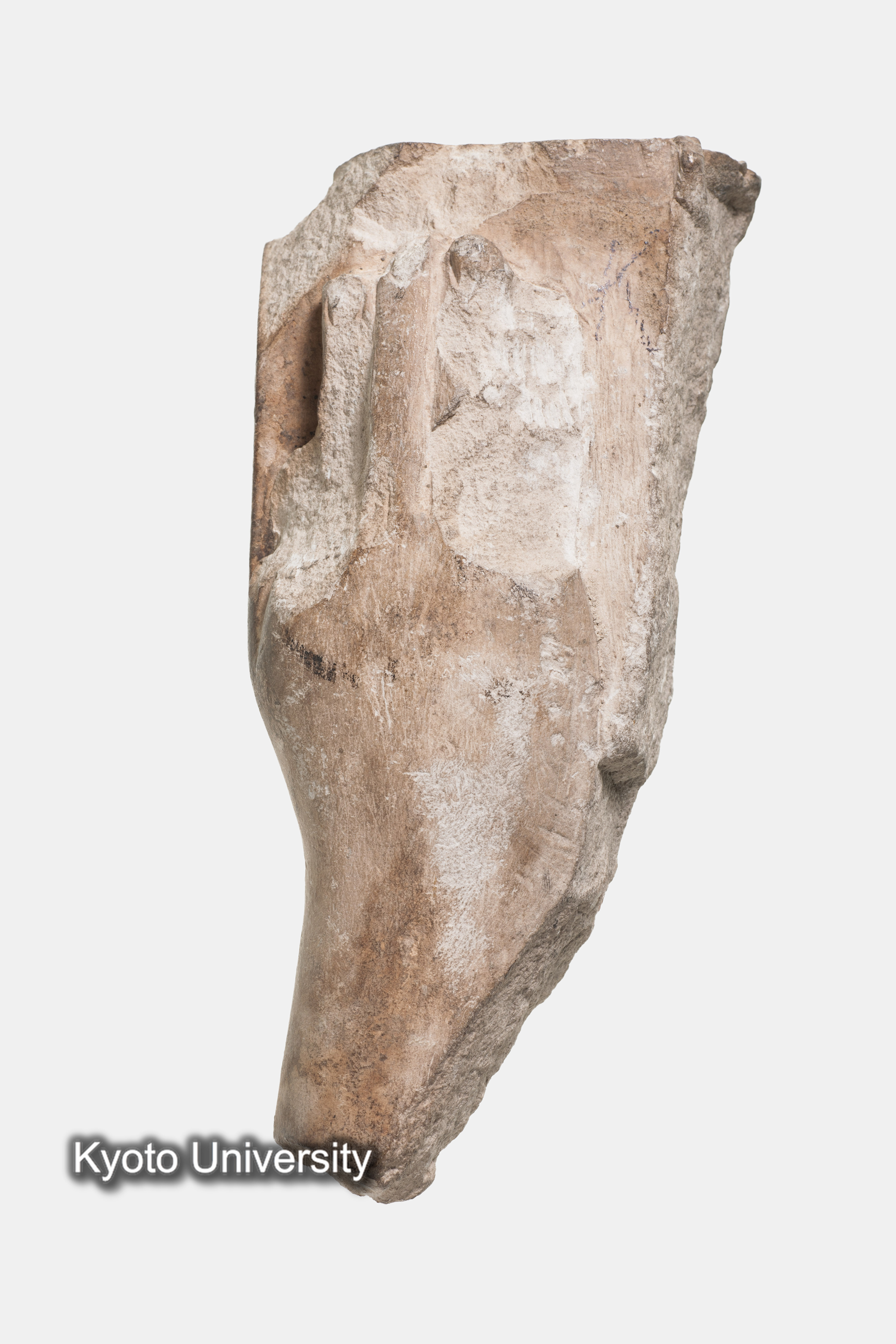 05-182_Deir el-Bahari014_p088-089 (1)