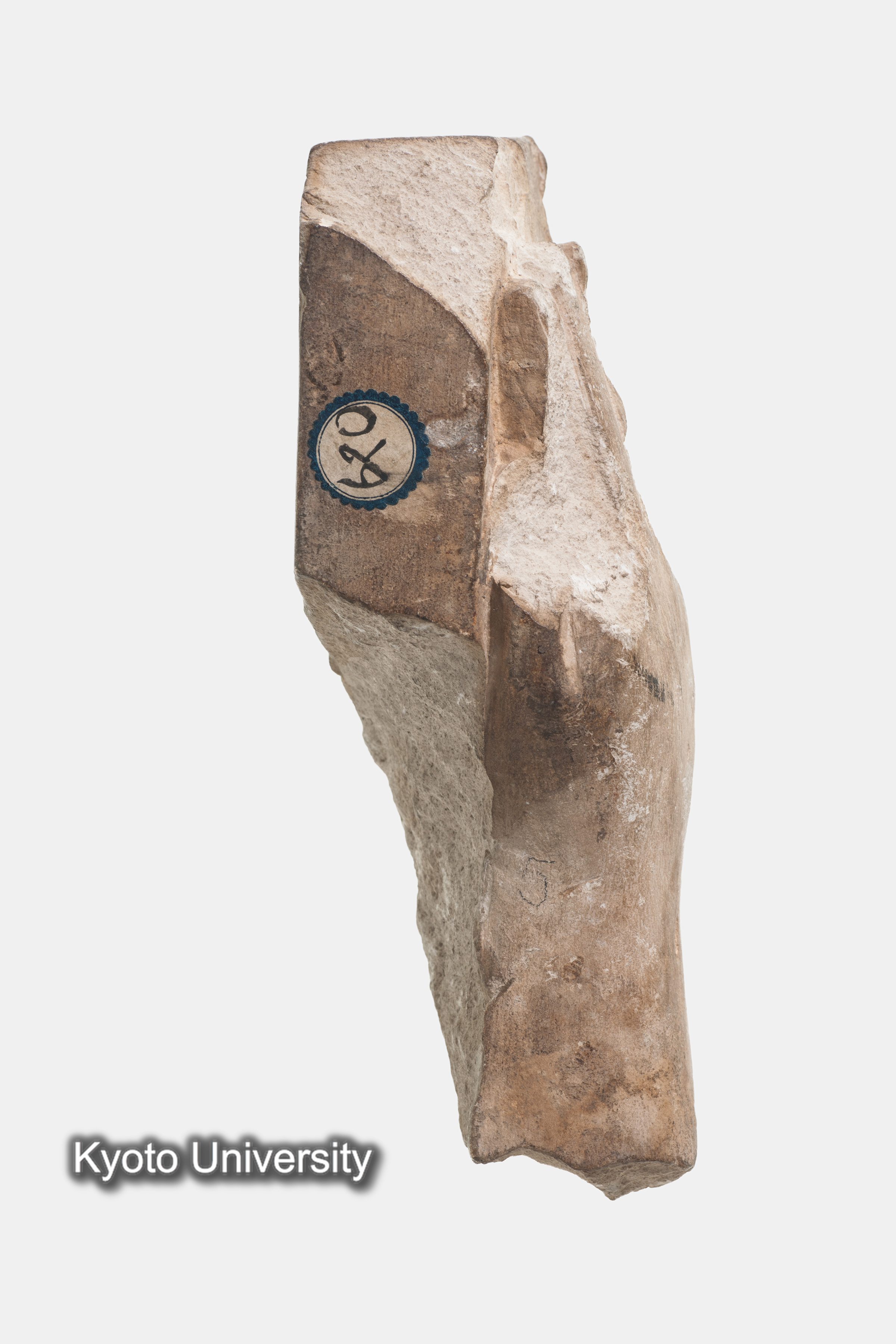 05-183_Deir el-Bahari014_p088-089 (1)