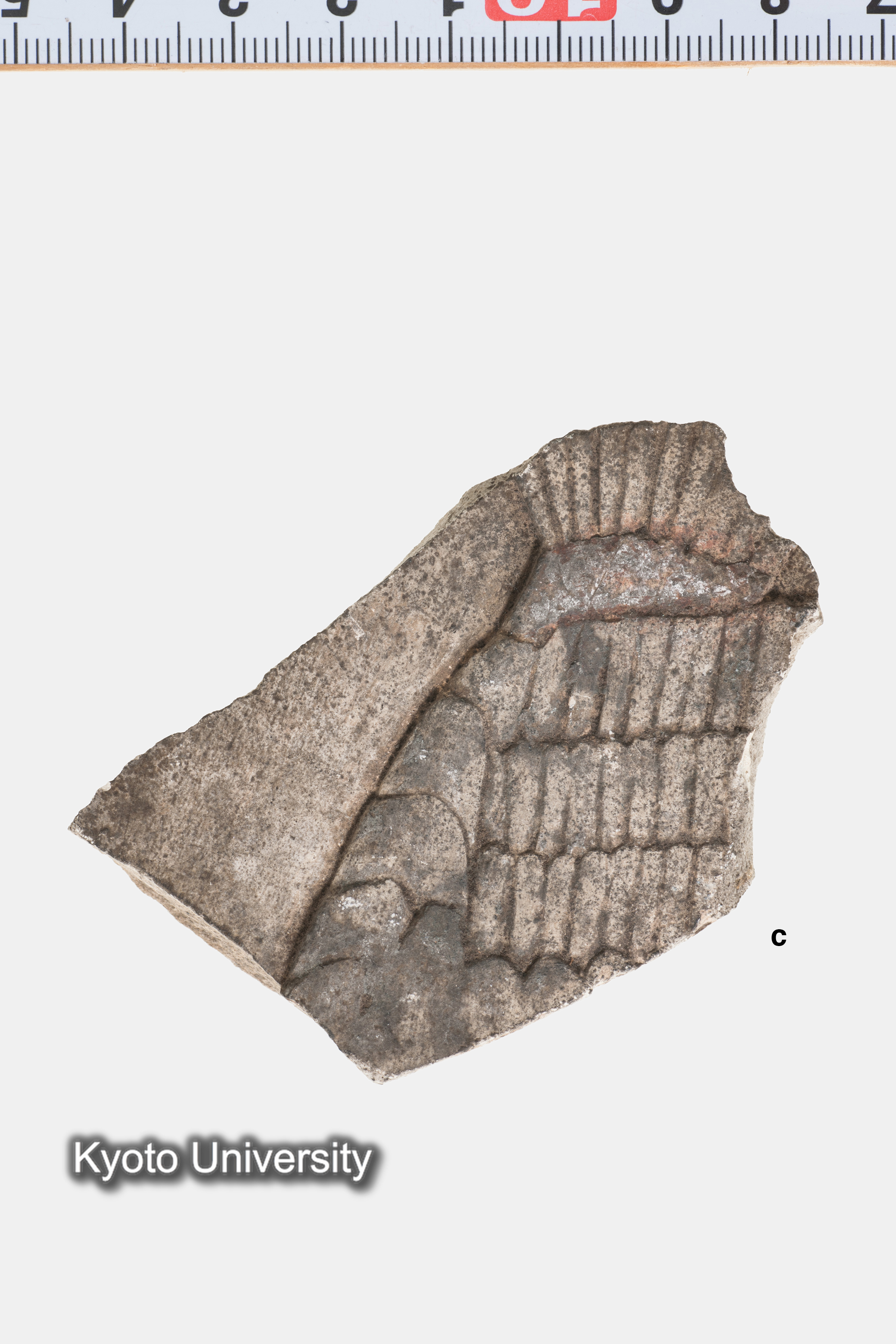 05-189_Deir el-Bahari015c_p089-090 (2)