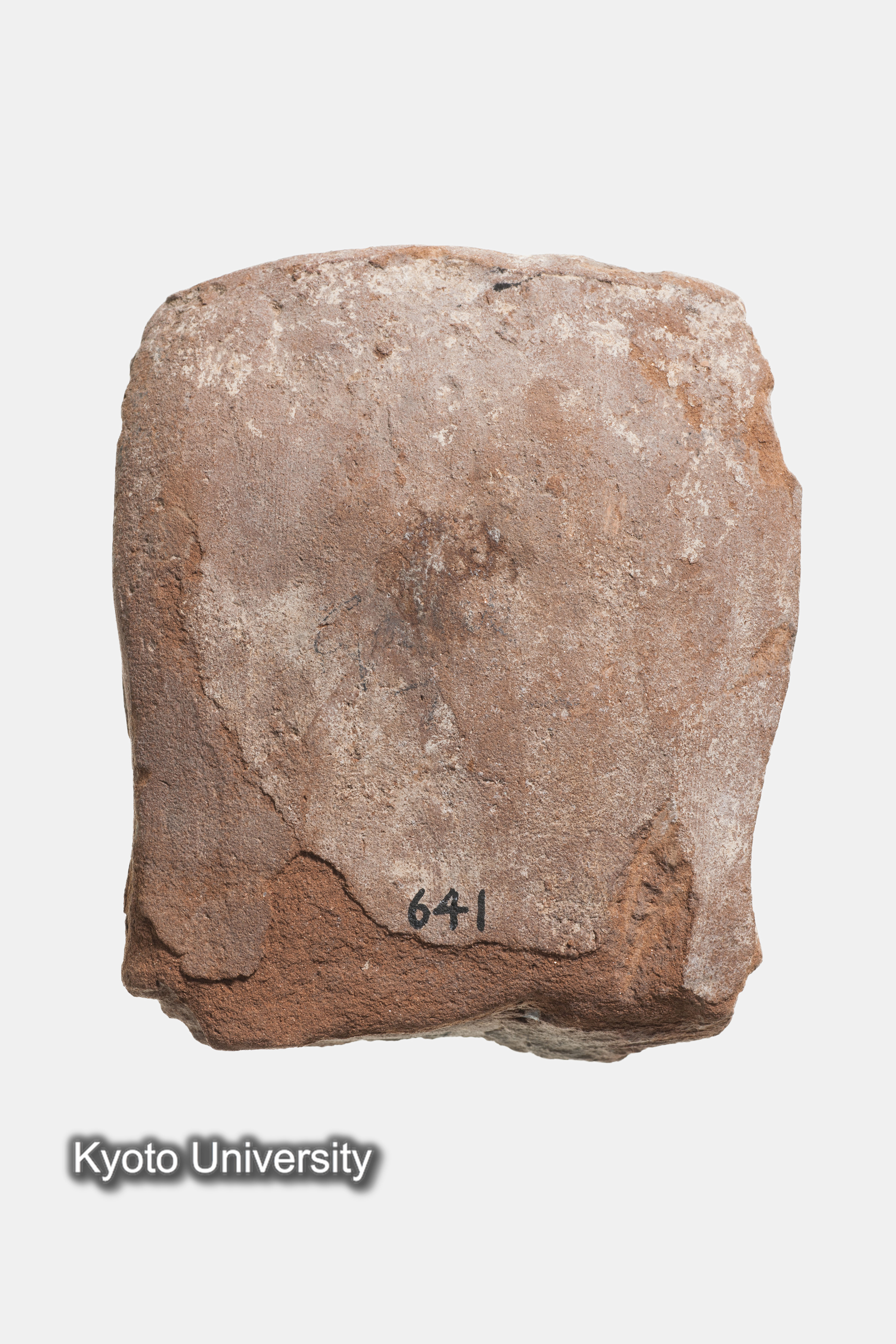 06-207_Naukratis002_p004 (1)