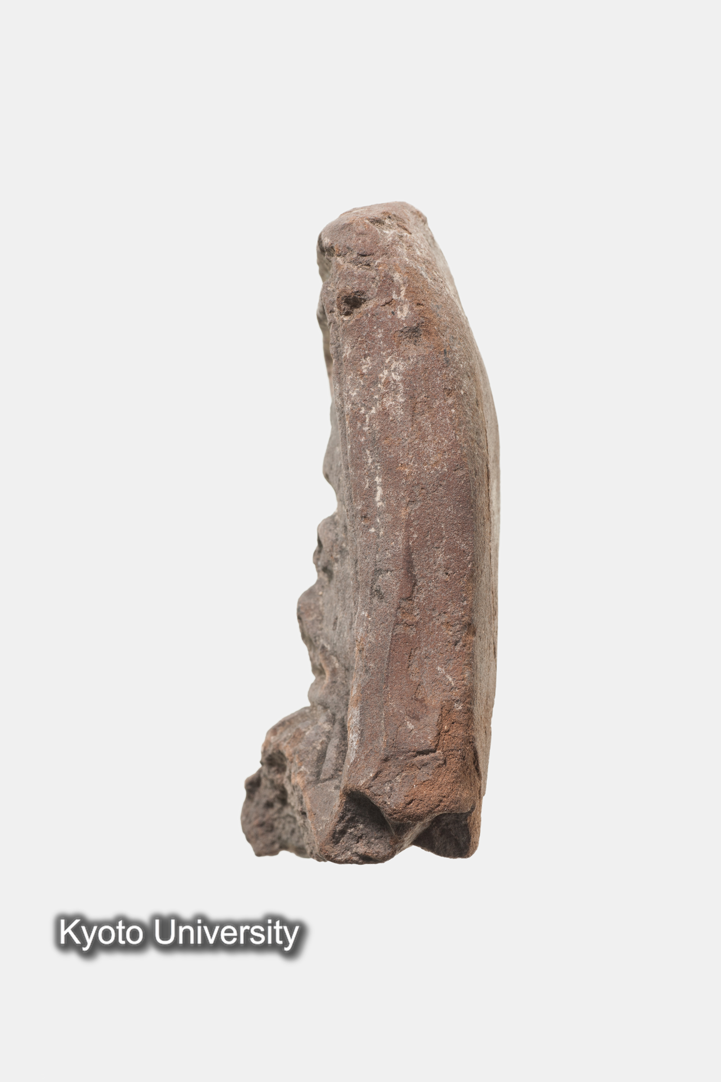 06-208_Naukratis002_p004 (1)