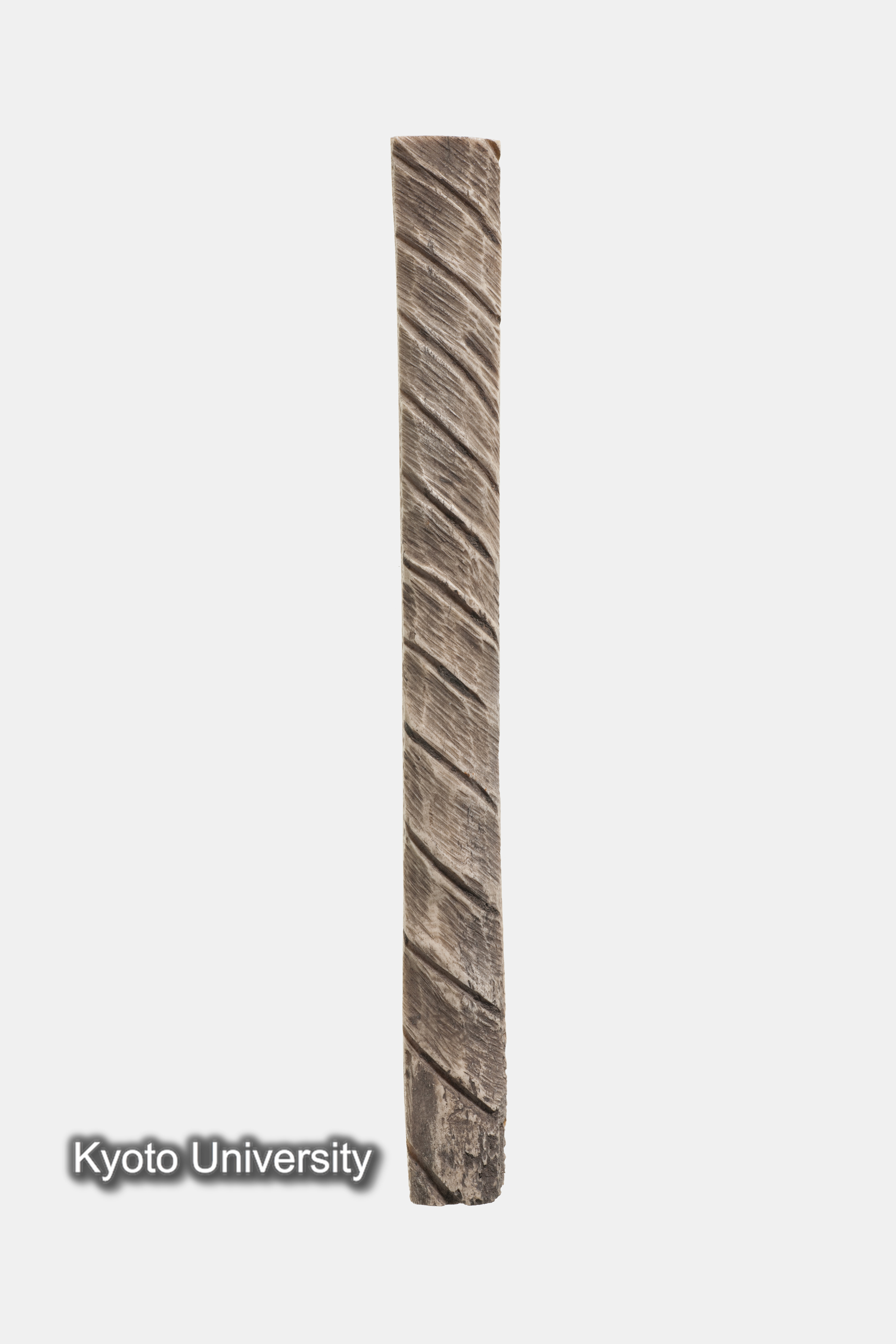 06-215_Oxyrhynchus024a[01]_p017-018 (1)