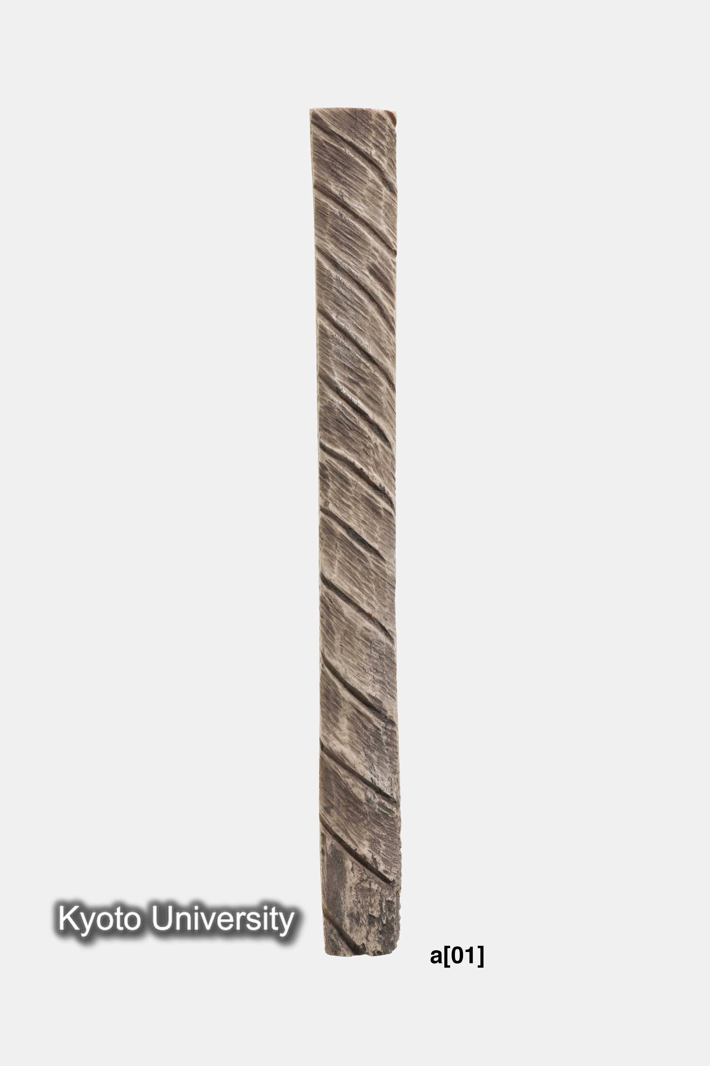 06-215_Oxyrhynchus024a[01]_p017-018 (2)