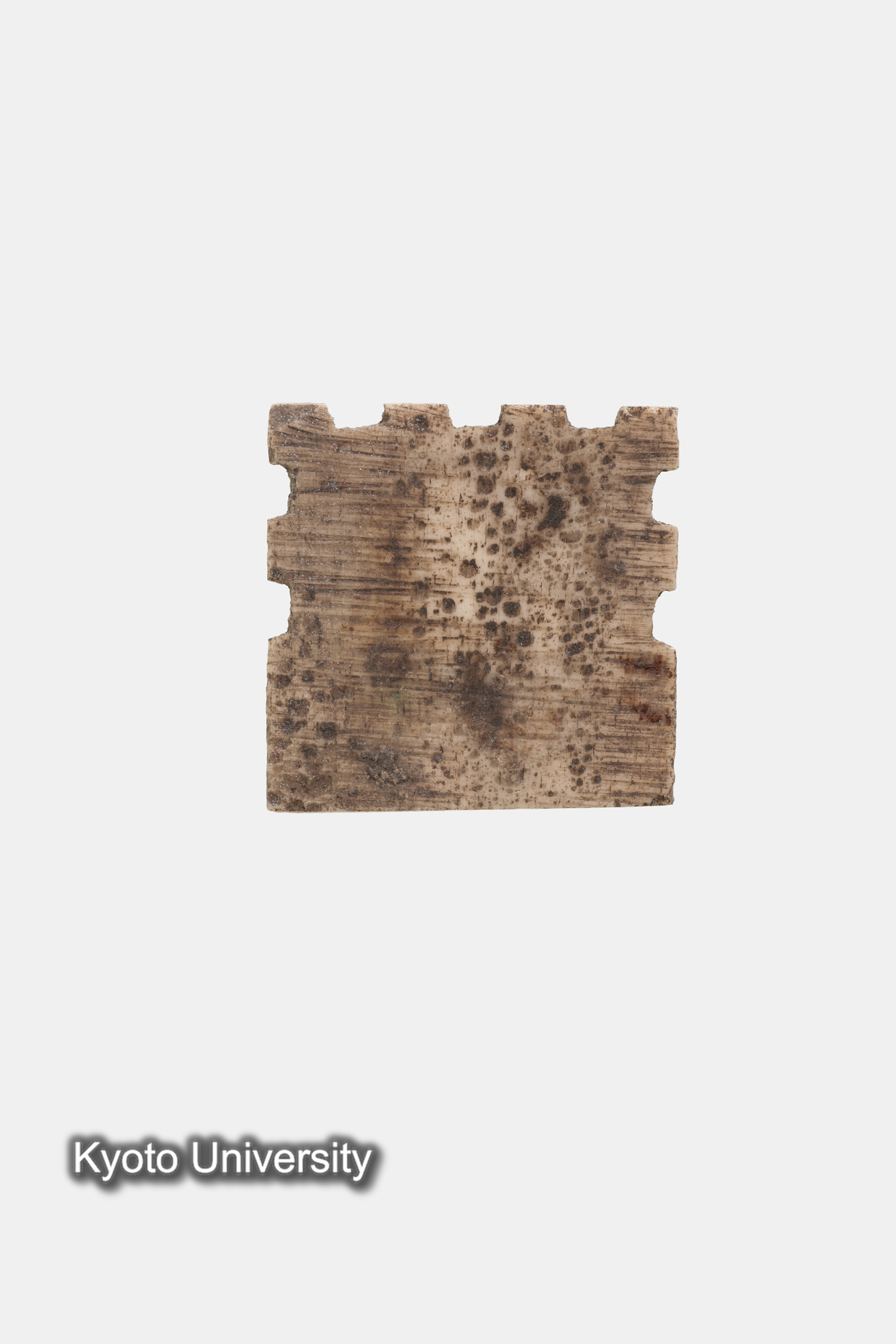 06-221_Oxyrhynchus024b[01]_p017-018 (1)