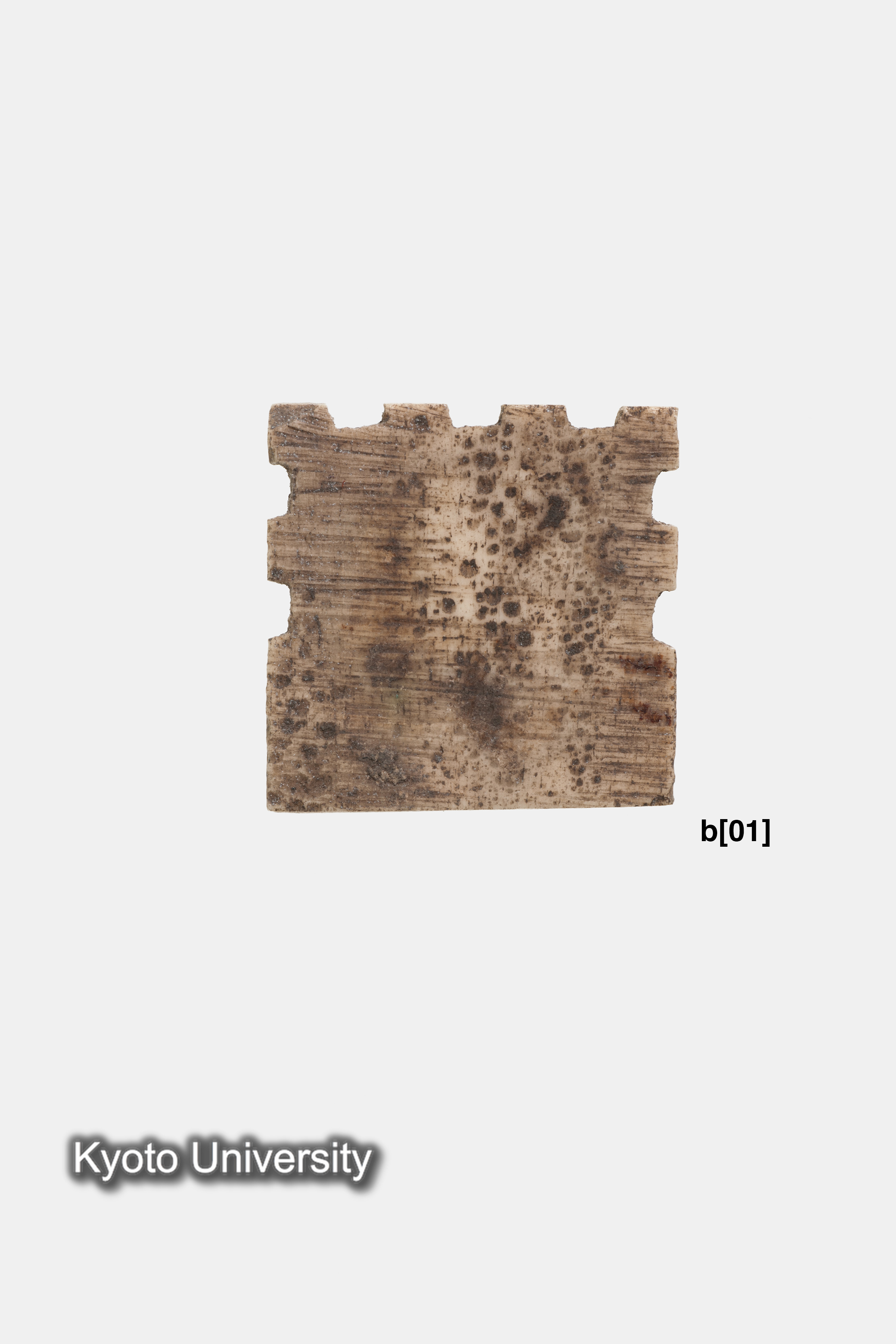 06-221_Oxyrhynchus024b[01]_p017-018 (2)