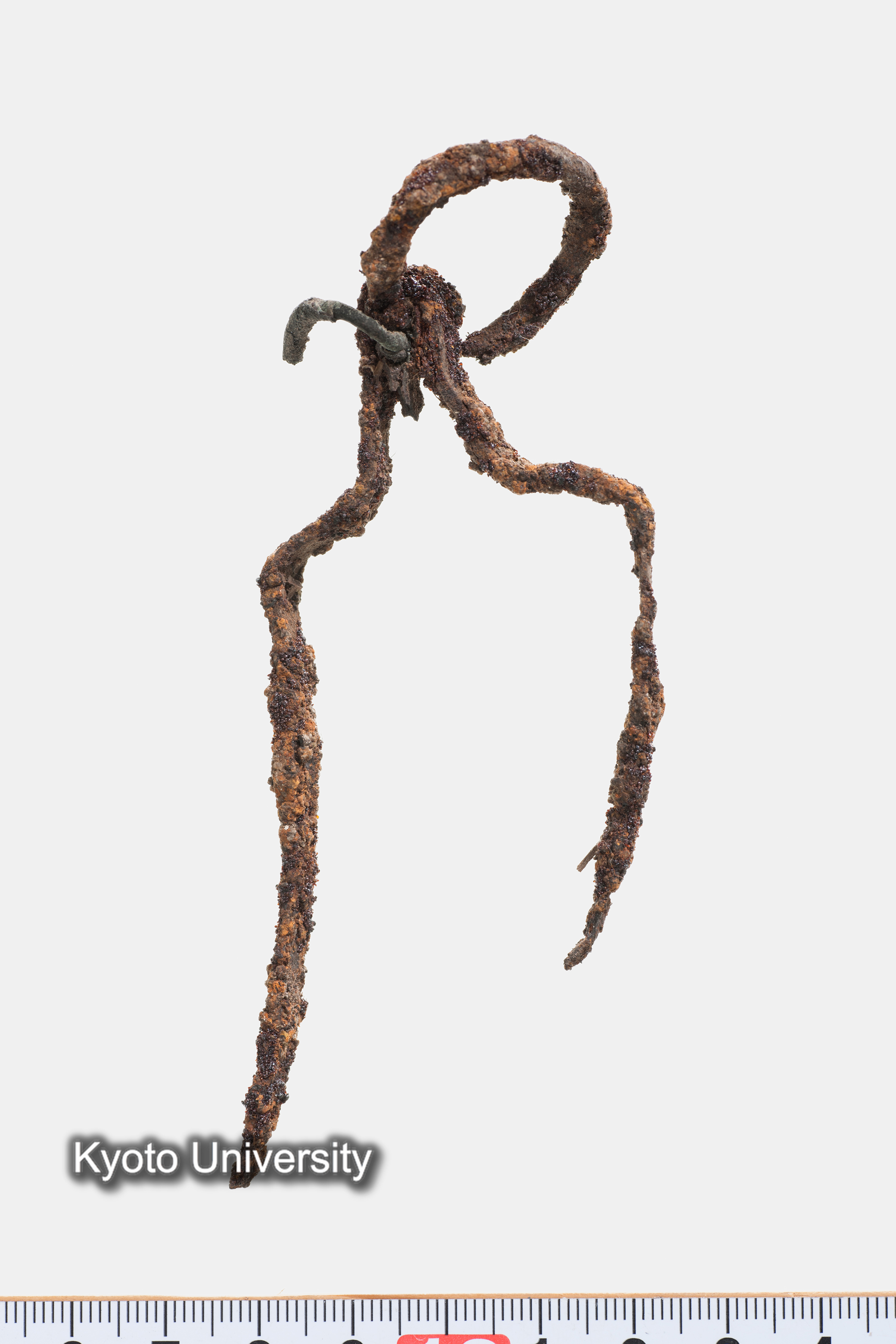 06-304_Oxyrhynchus029_p019 (1)