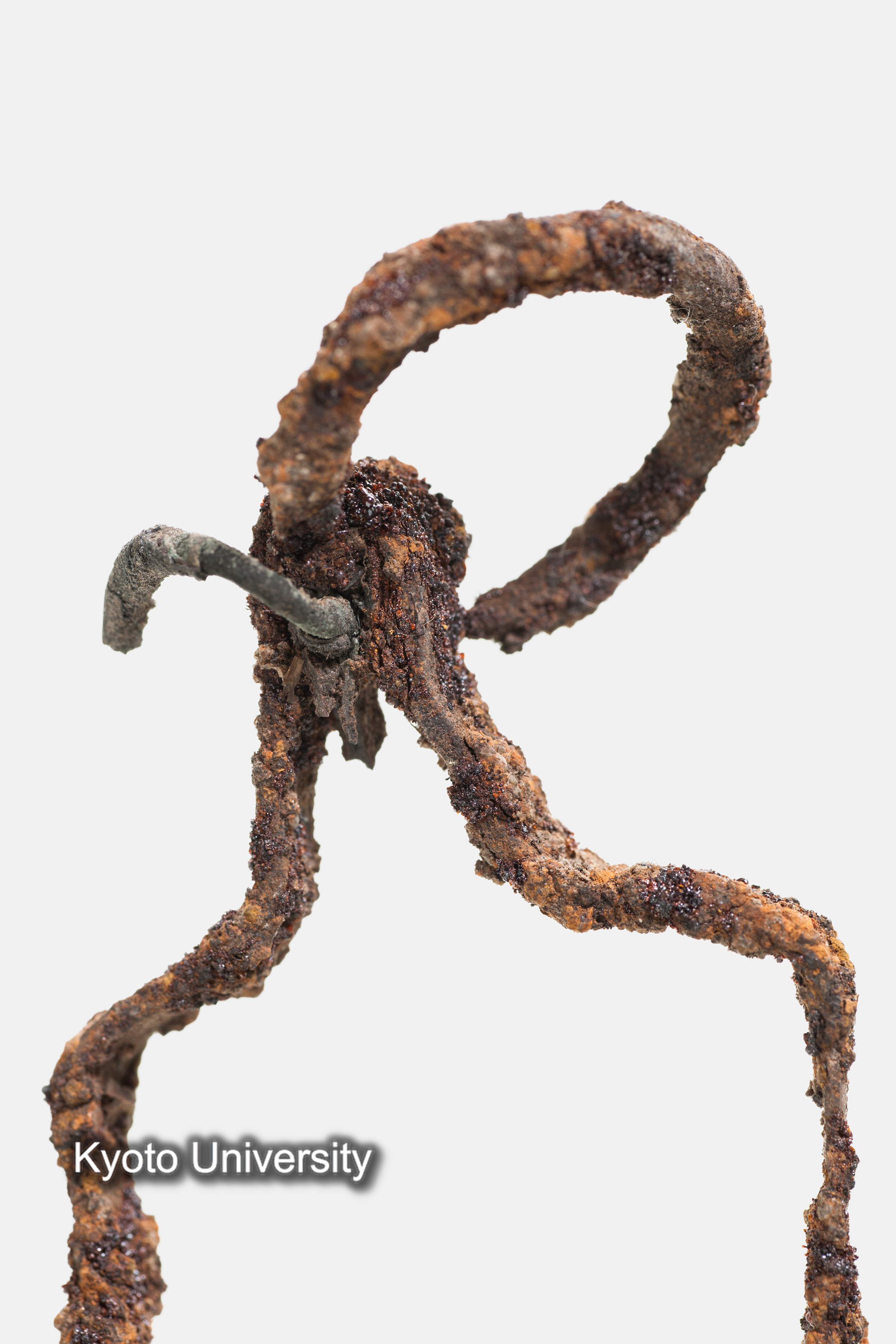 06-305_Oxyrhynchus029_p019 (1)