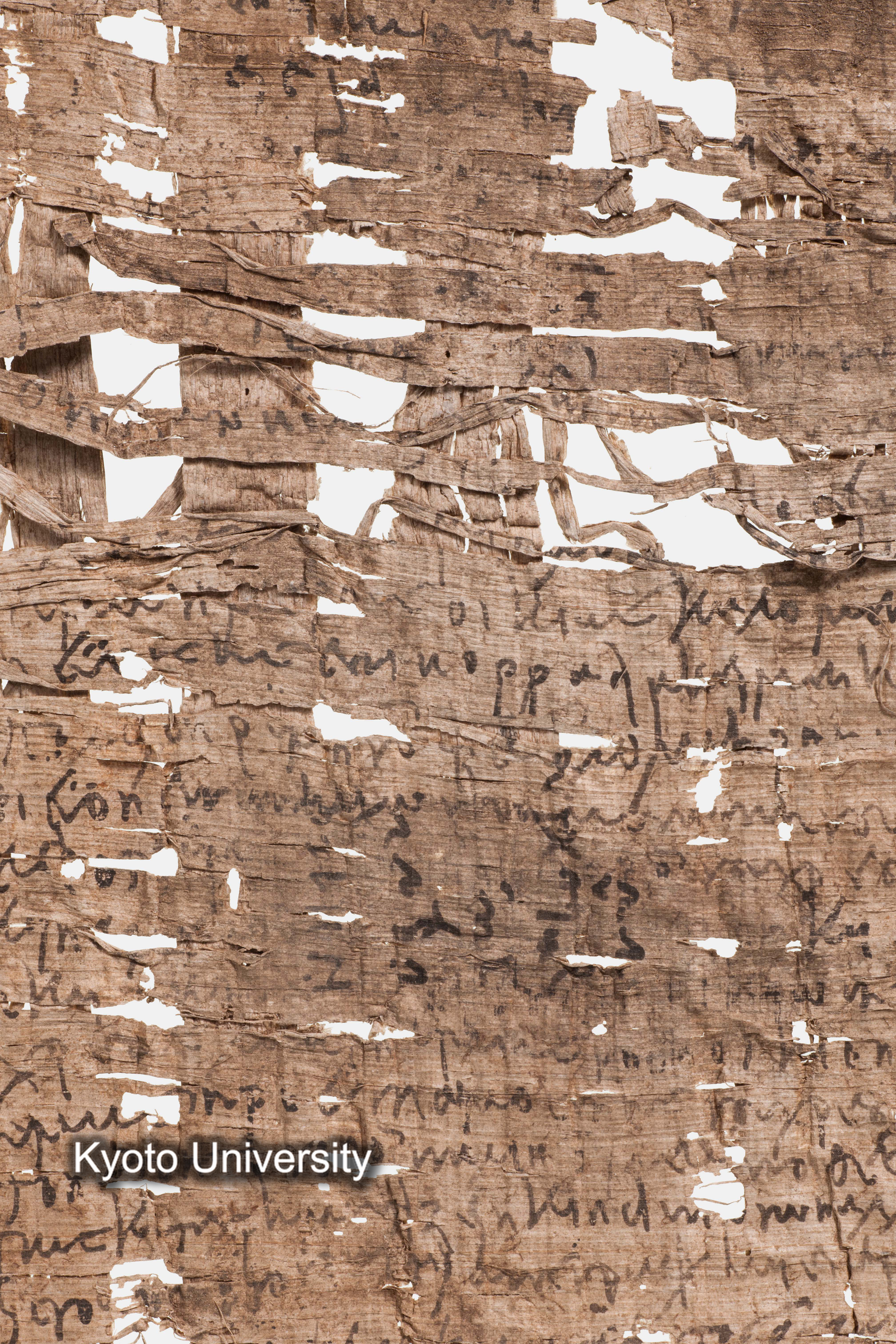 06-333_Papyri007_p153 (1)