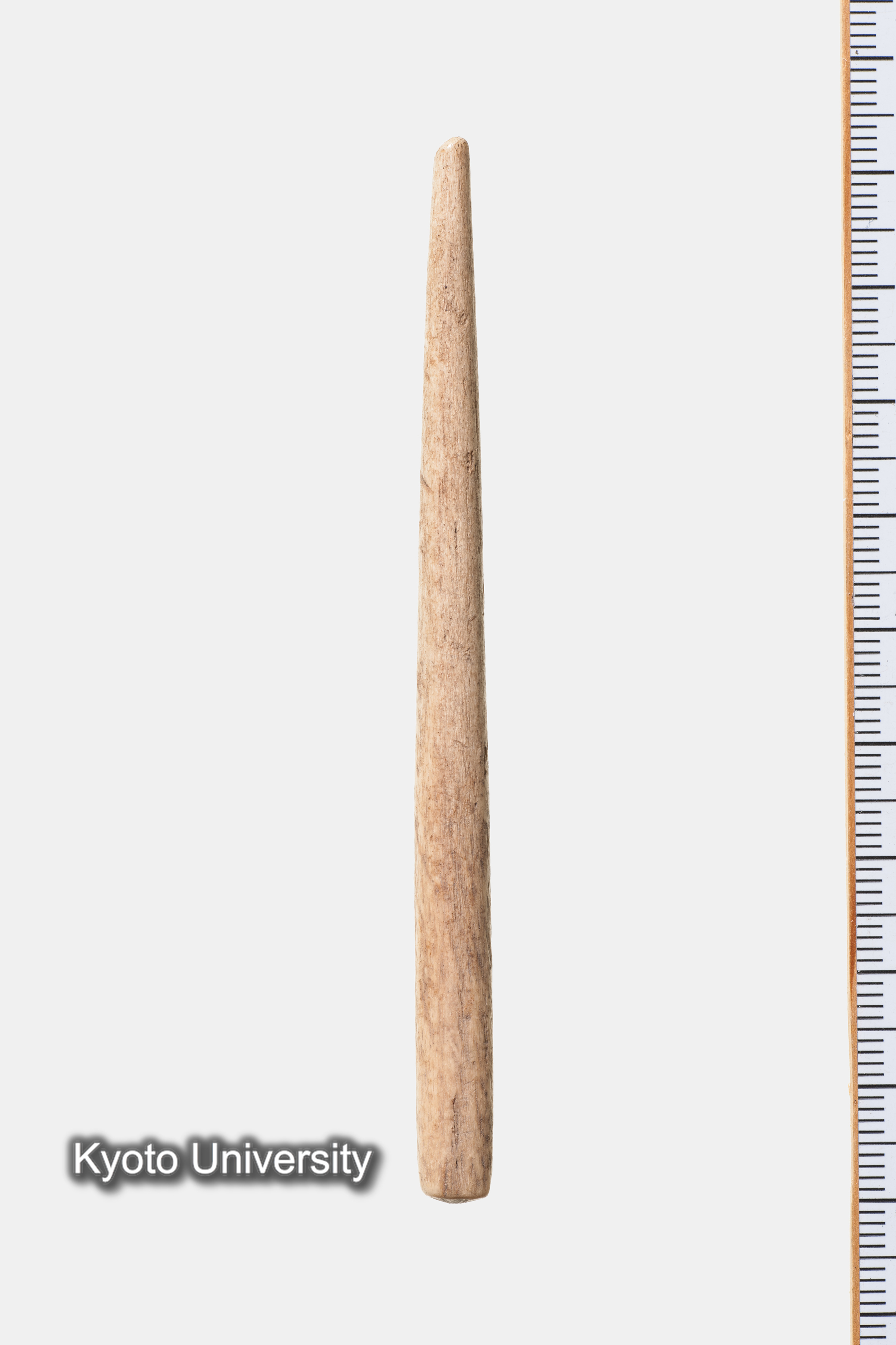 06-350_Oxyrhynchus023_p016+018 (1)