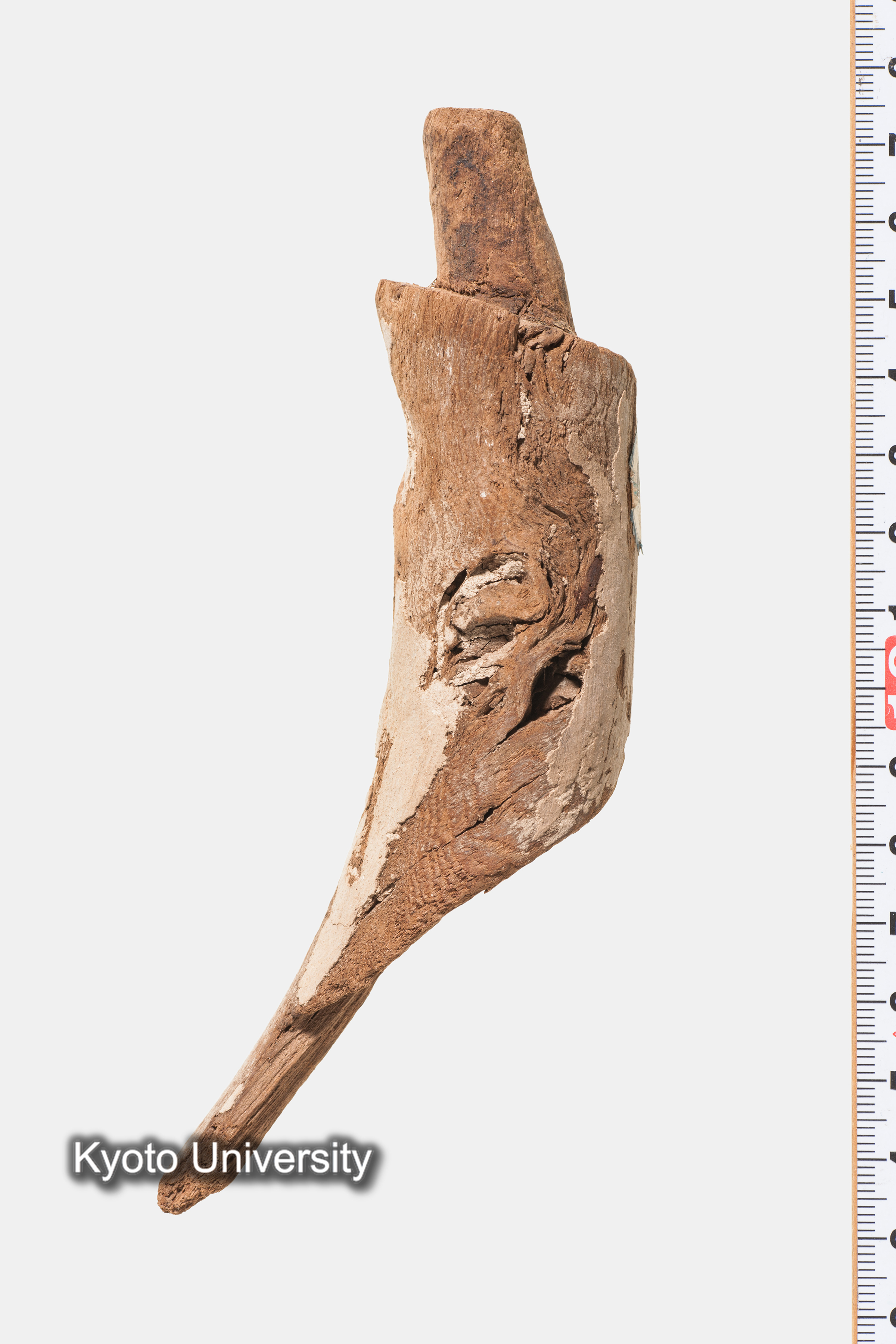 06-352_Oxyrhynchus019_p016 (1)