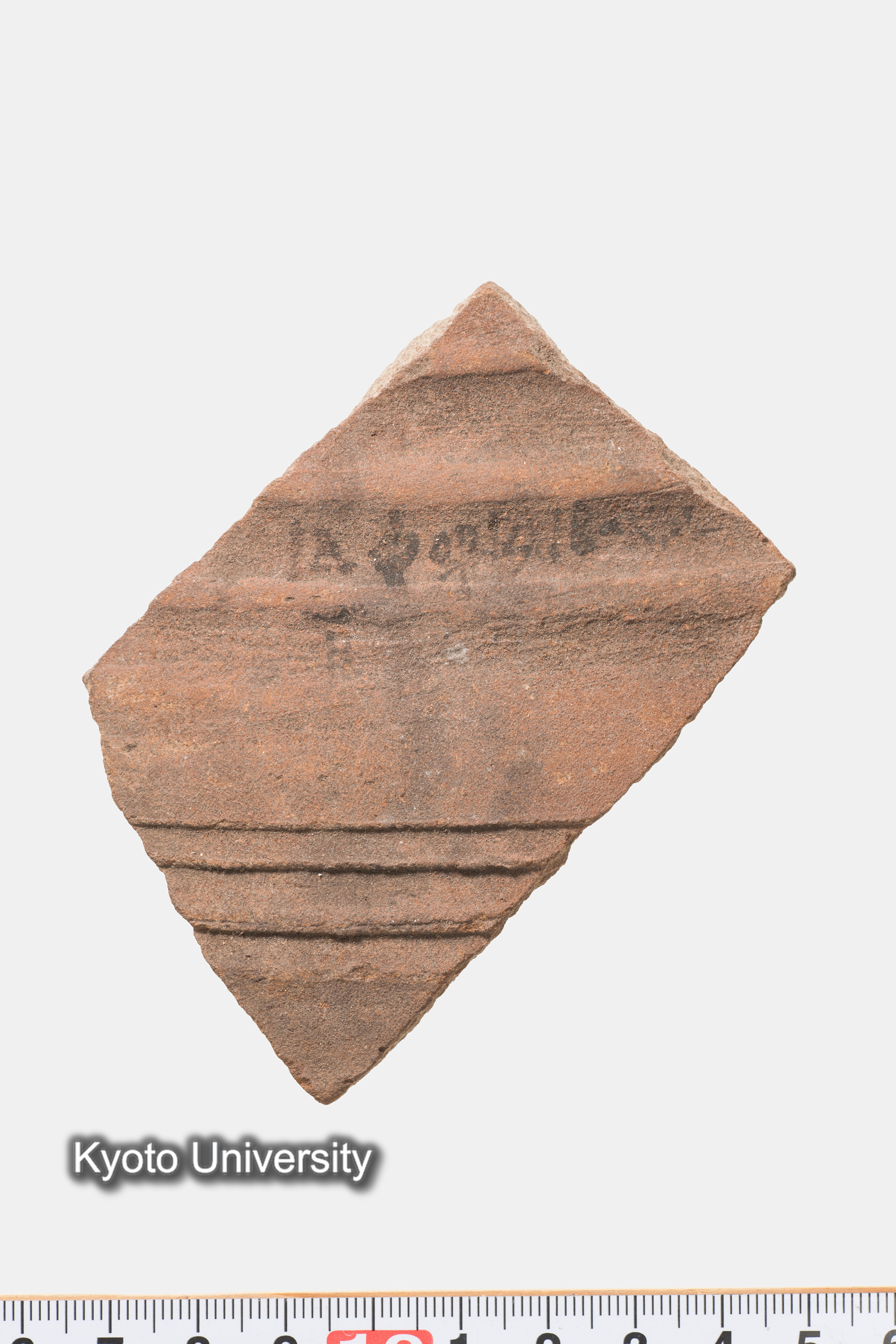 07-382_Oxyrhynchus001_p013 (1)