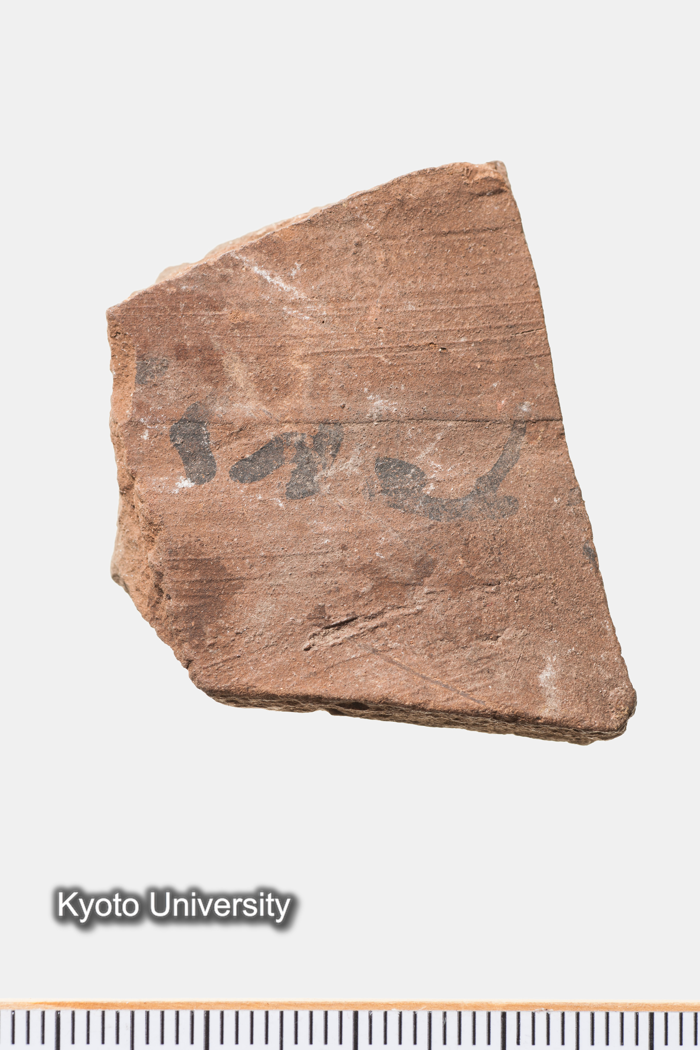 07-384_Oxyrhynchus002_p013 (1)