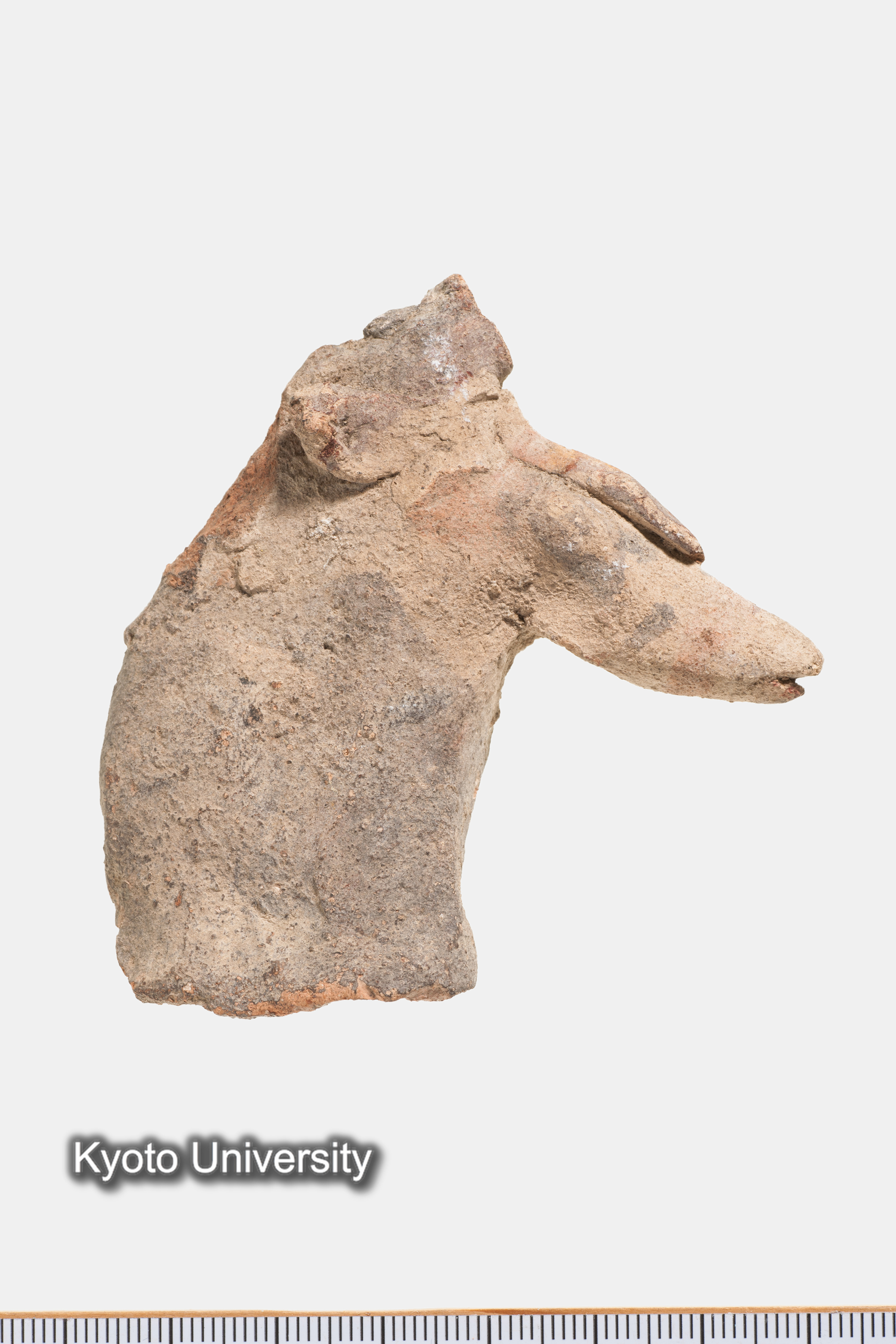 07-401_Naukratis005_p005 (1)