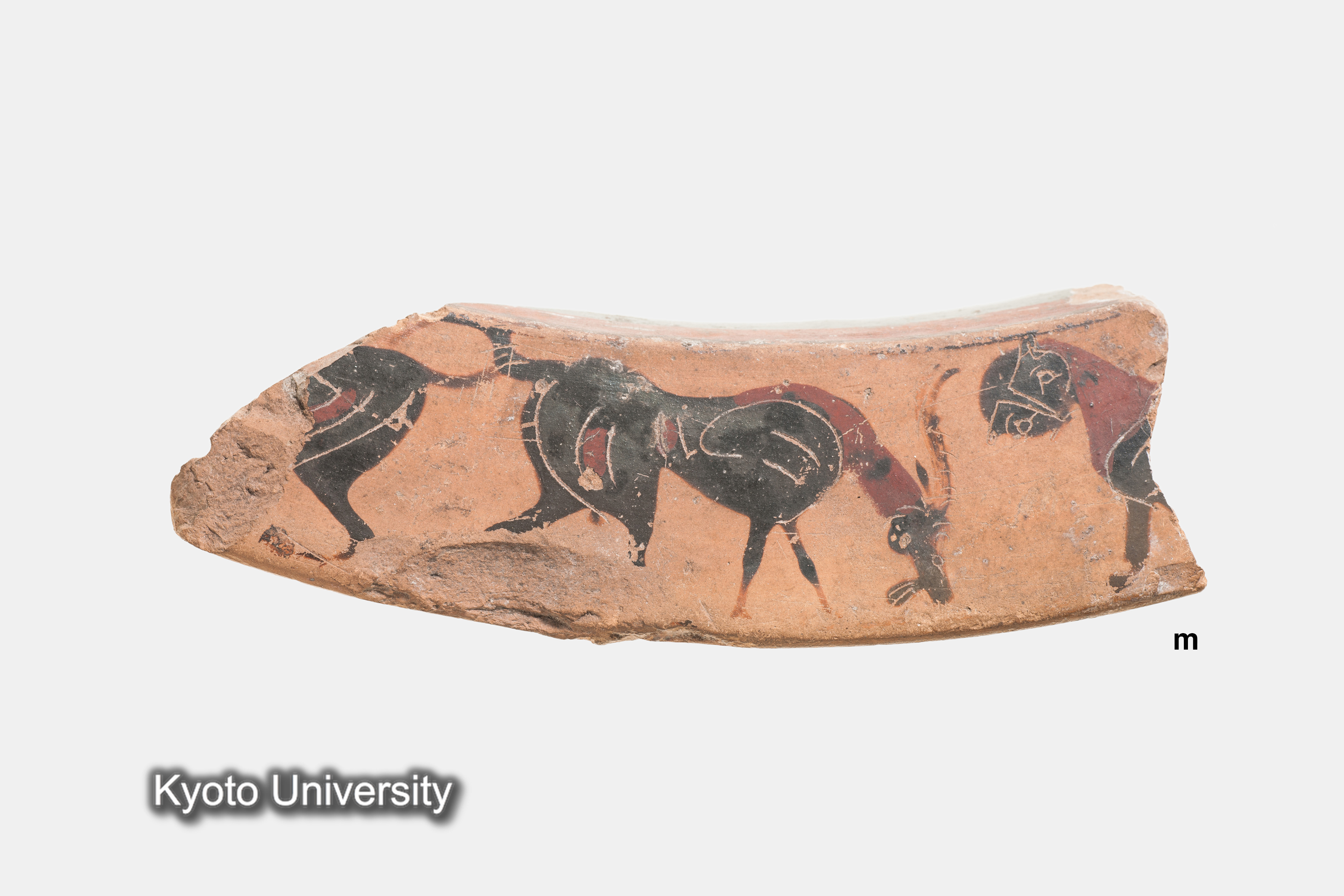 07-435_Naukratis001m_p003 (2)