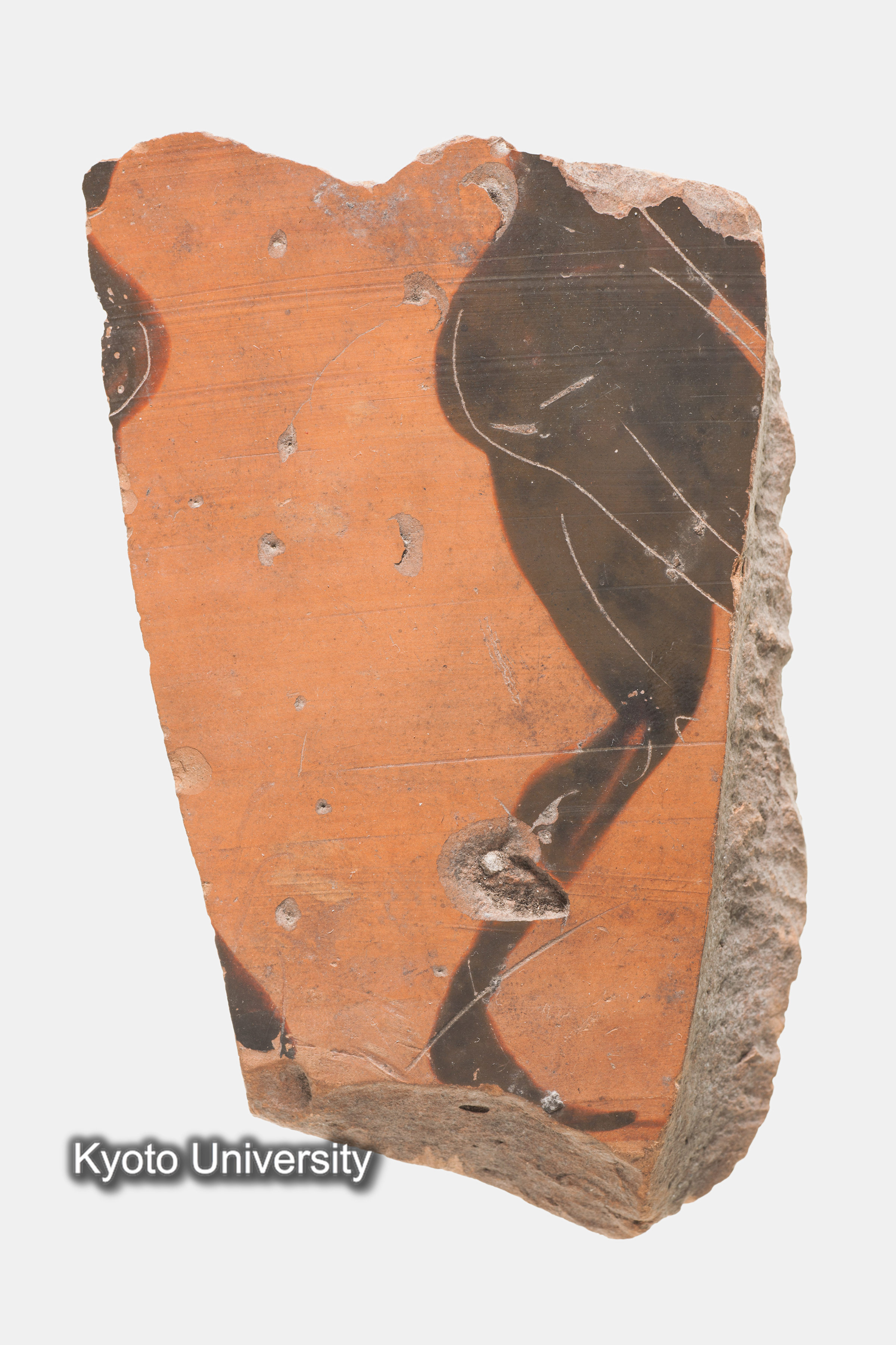 07-442_Naukratis001n_p003 (1)