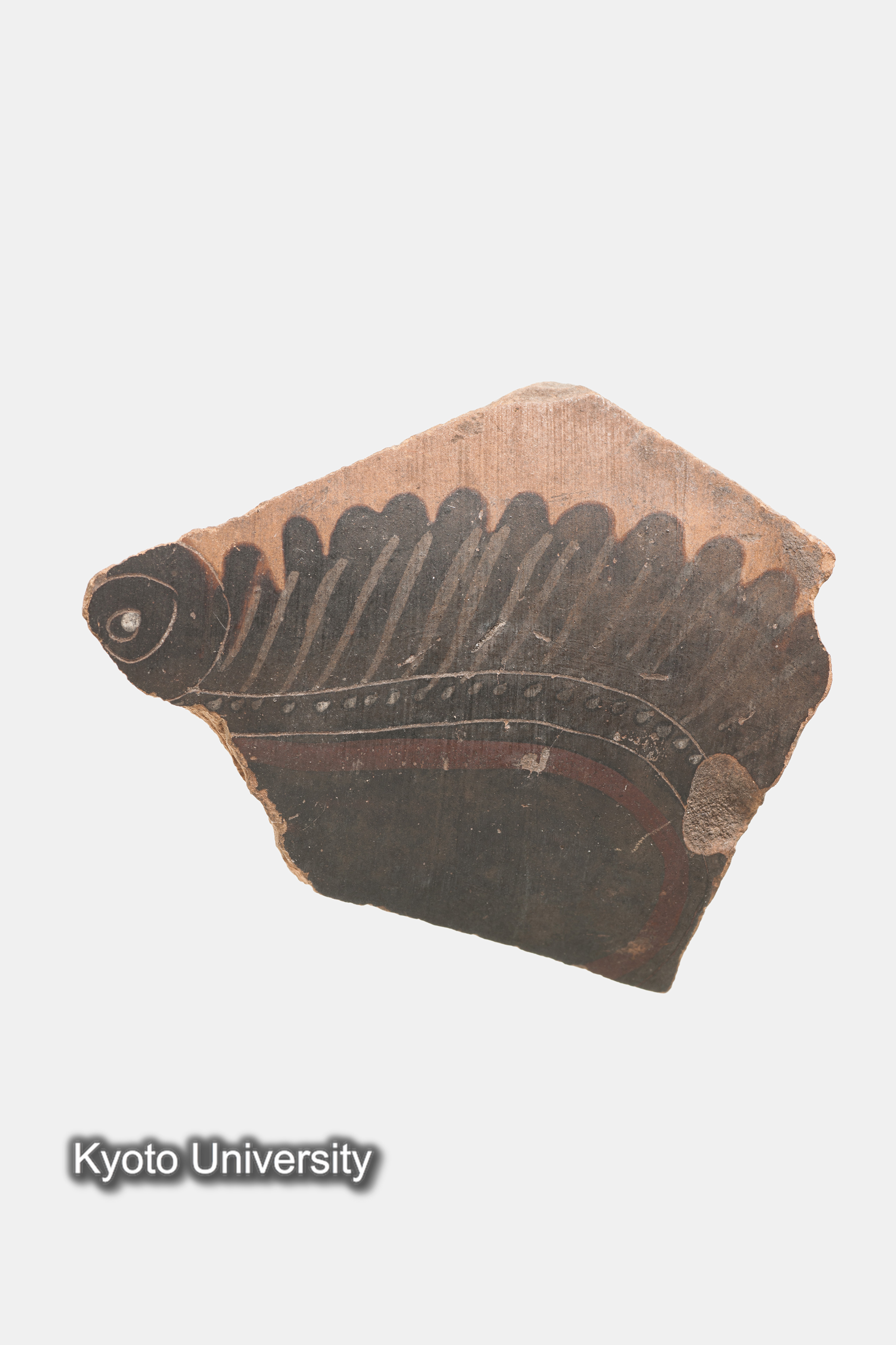 07-450_Naukratis001e_p003-004 (1)